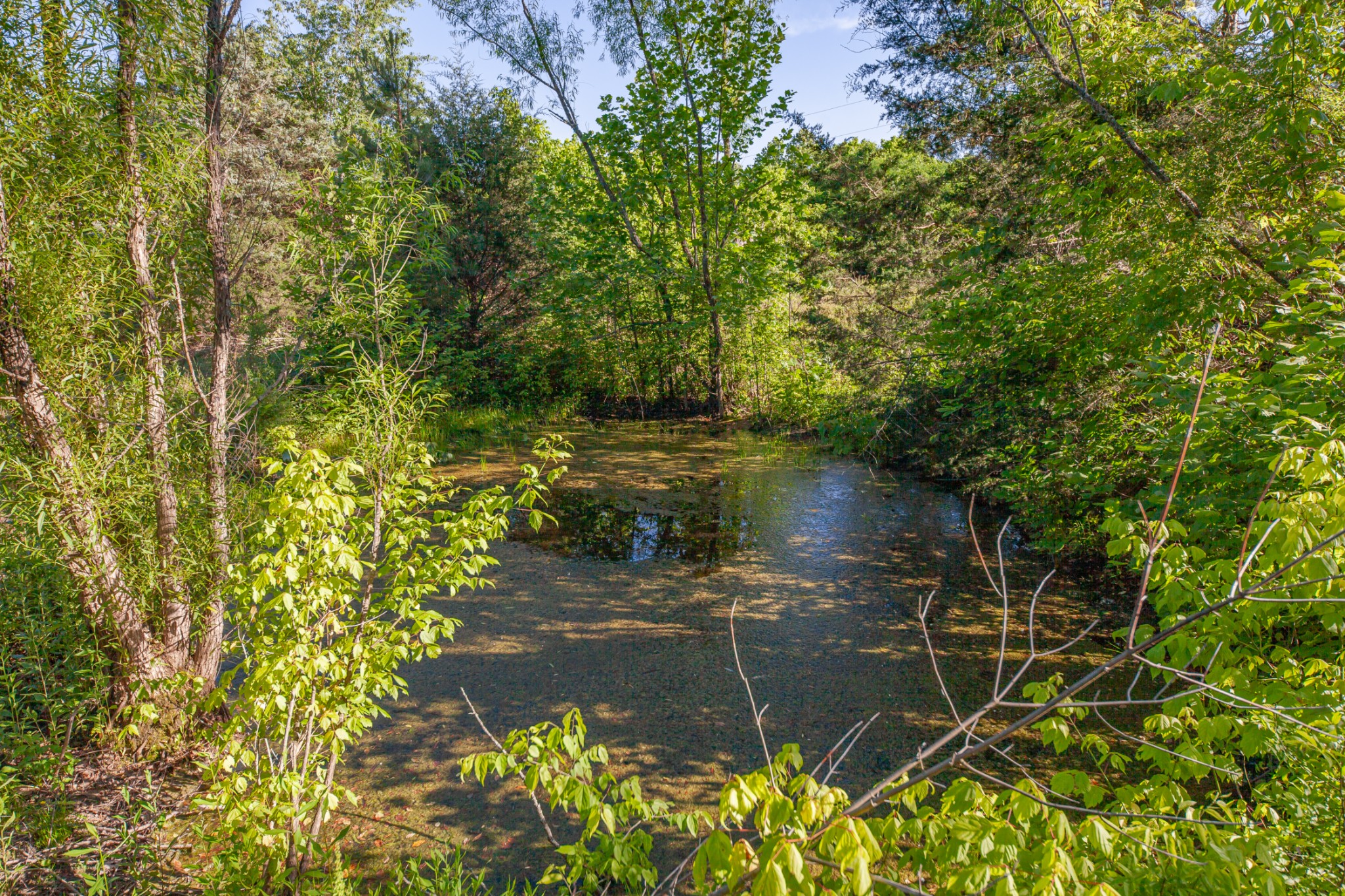 304 Fuss Hollow Rd Property Photo 14