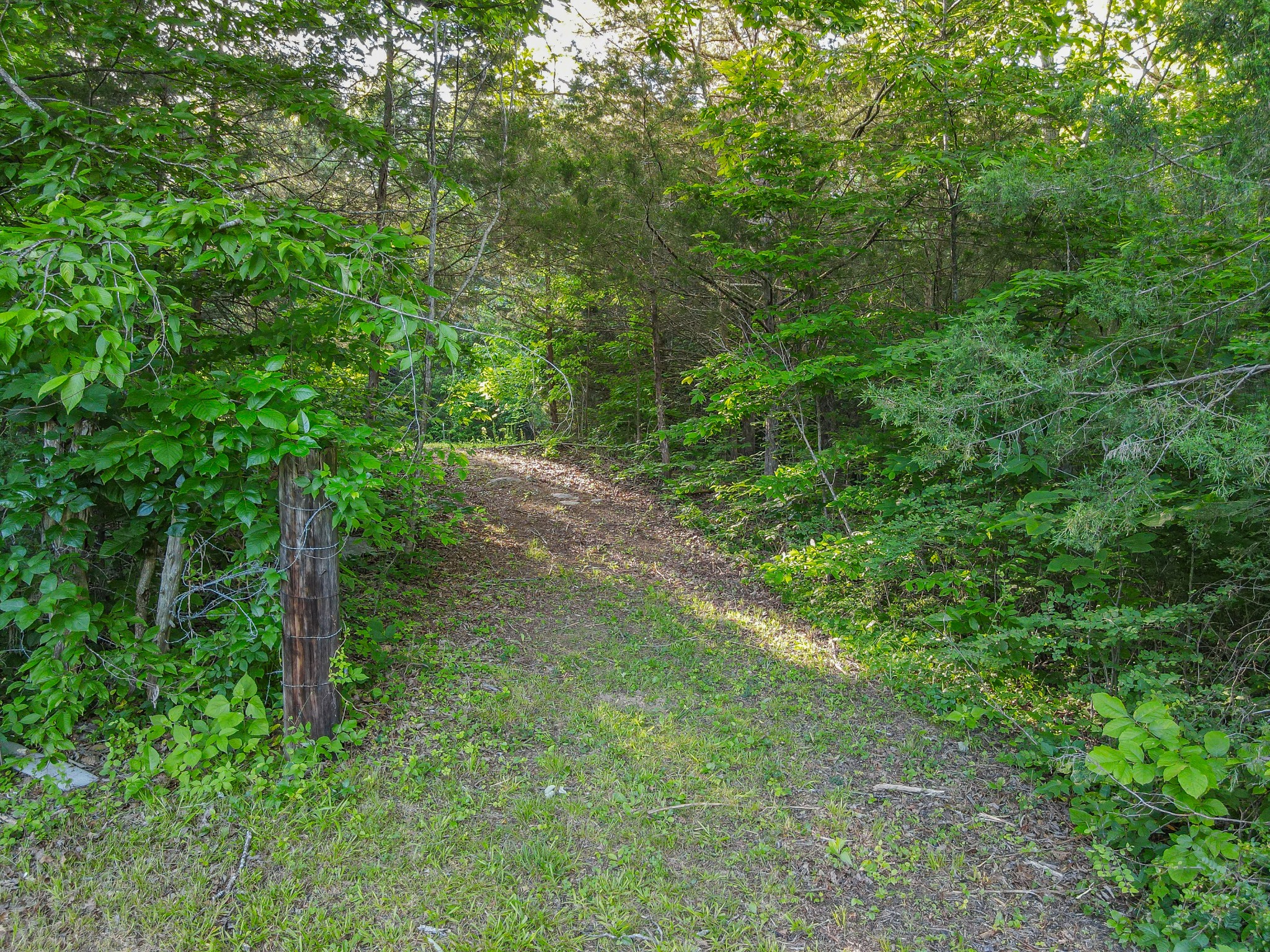 304 Fuss Hollow Rd Property Photo 27
