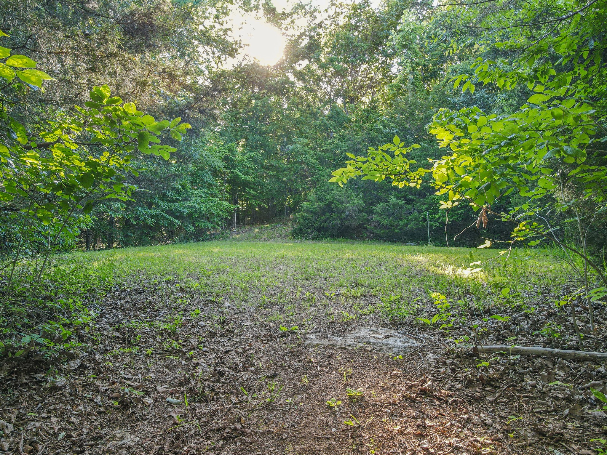 304 Fuss Hollow Rd Property Photo 29