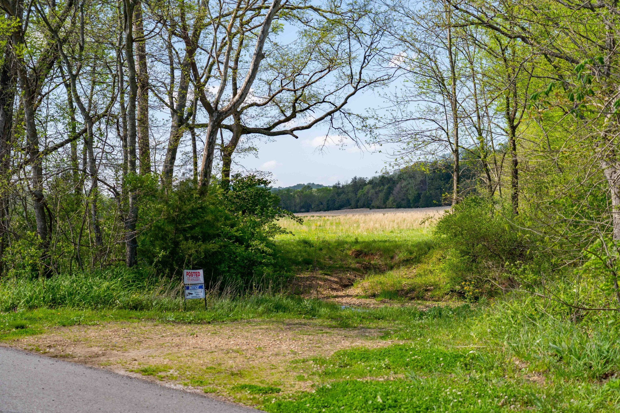 0 Pee Dee Branch Rd Property Photo 8