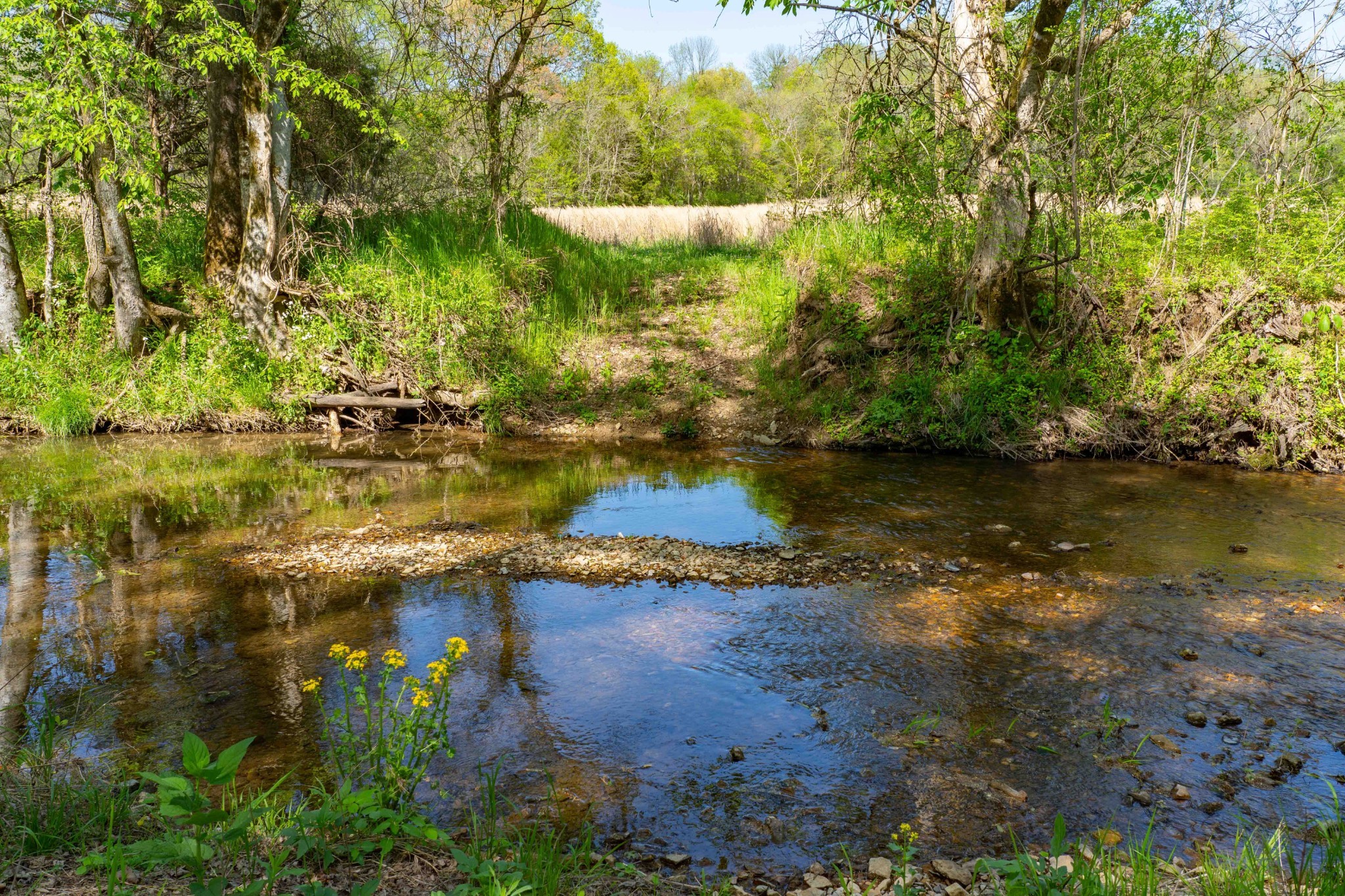 0 Pee Dee Branch Rd Property Photo 10