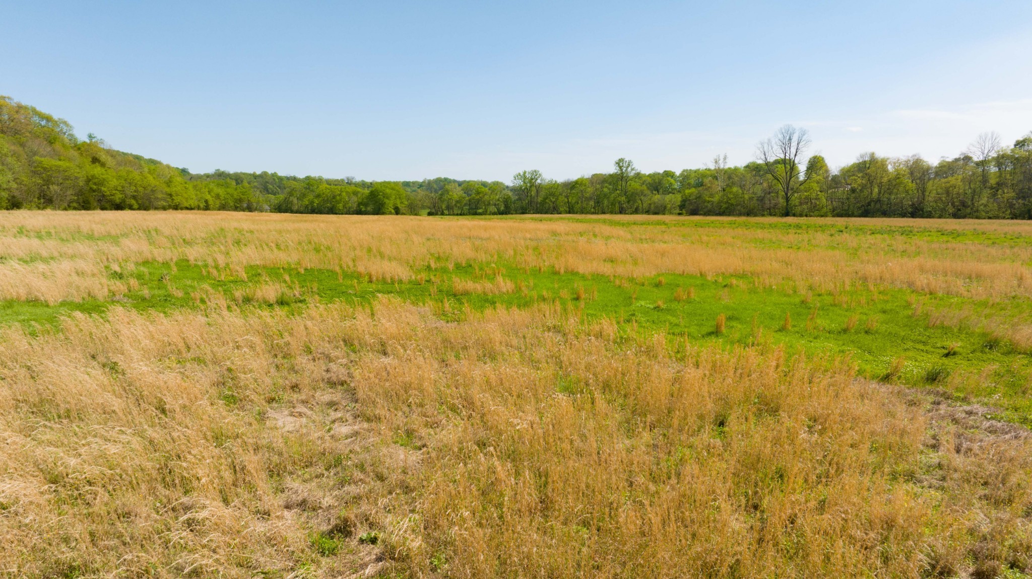 0 Pee Dee Branch Rd Property Photo 41