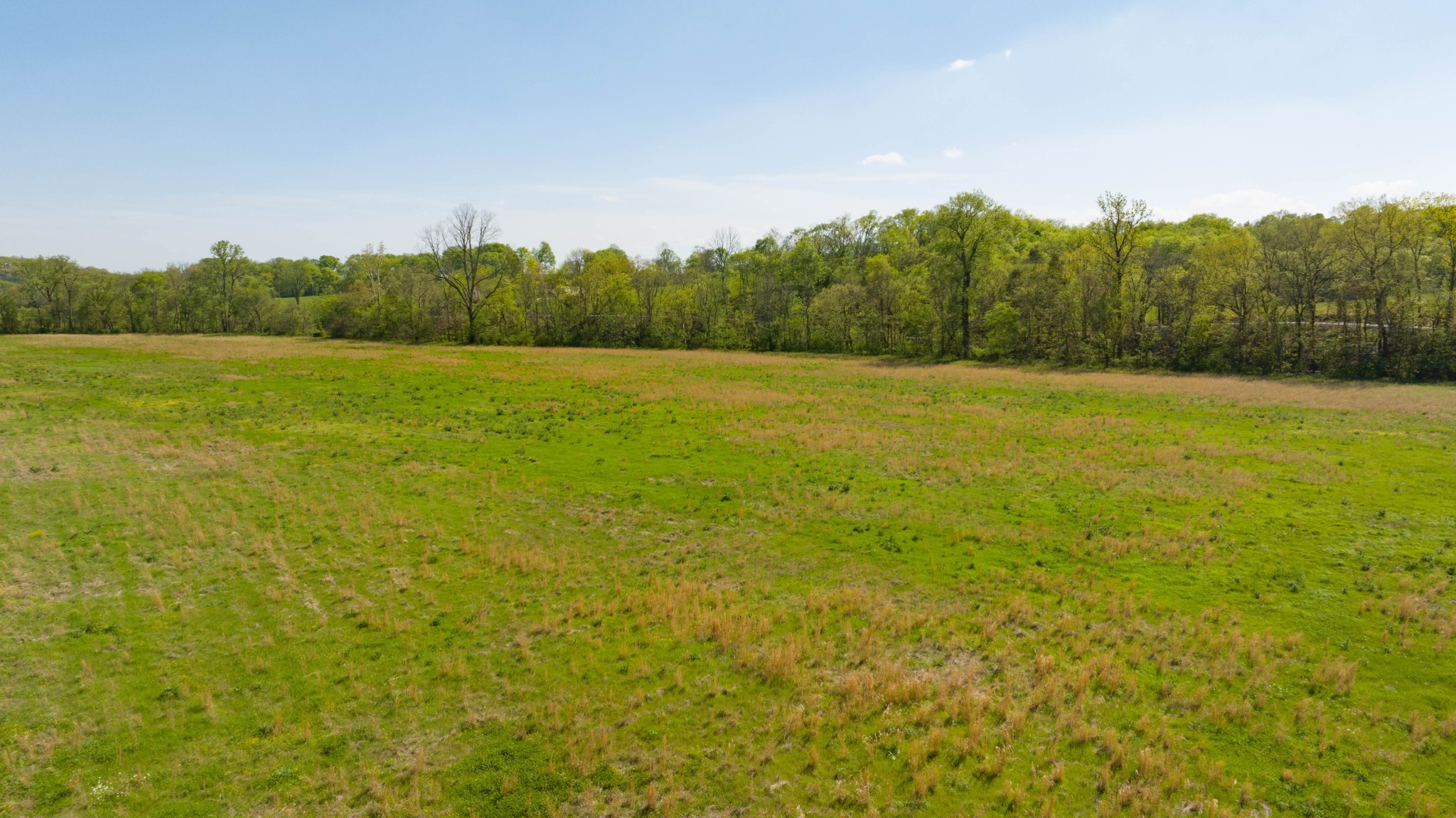 0 Pee Dee Branch Rd Property Photo 42