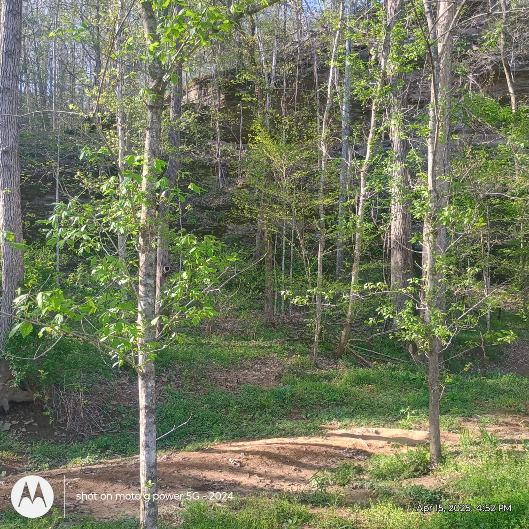 120 Donnelly Ln Property Photo 2