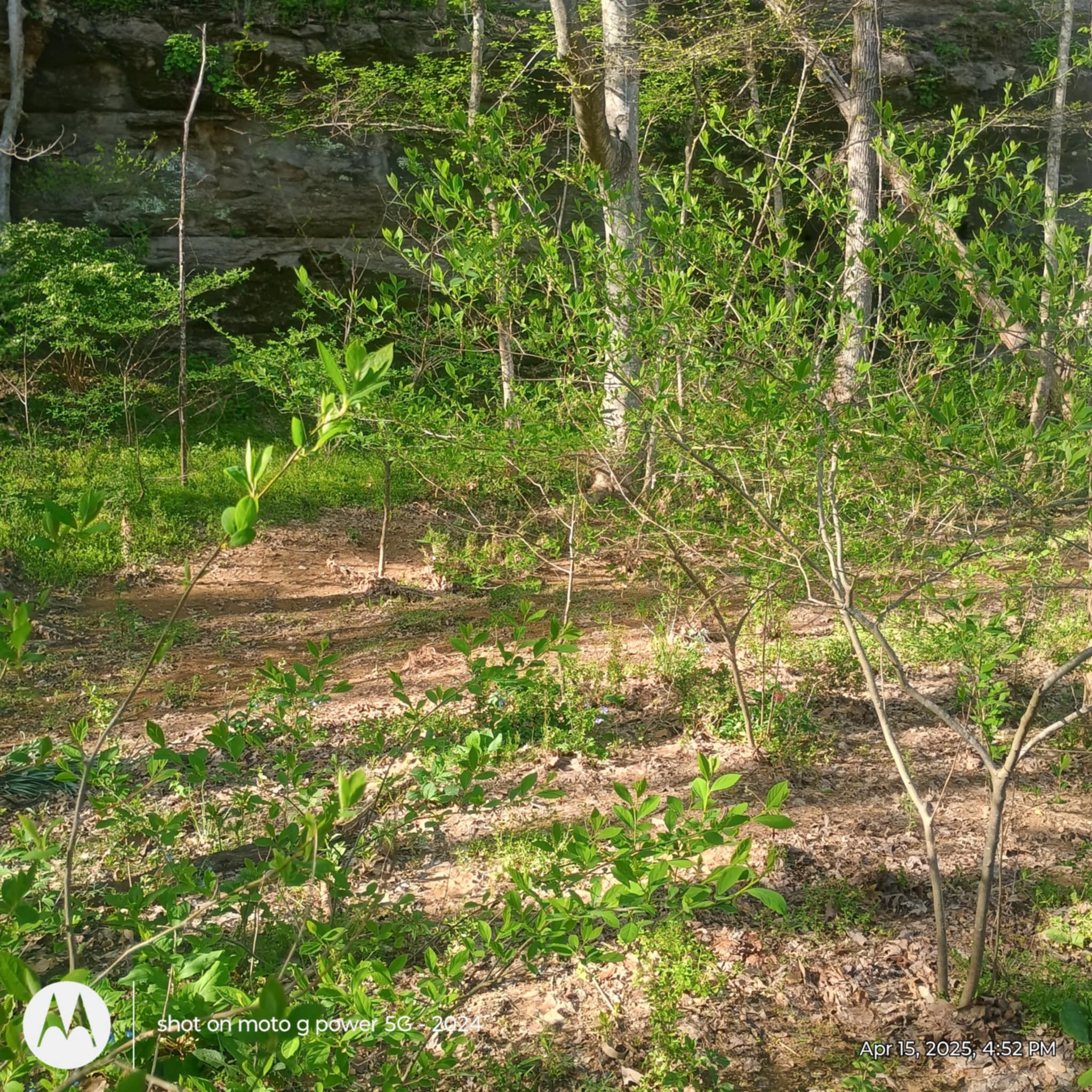 120 Donnelly Ln Property Photo 3