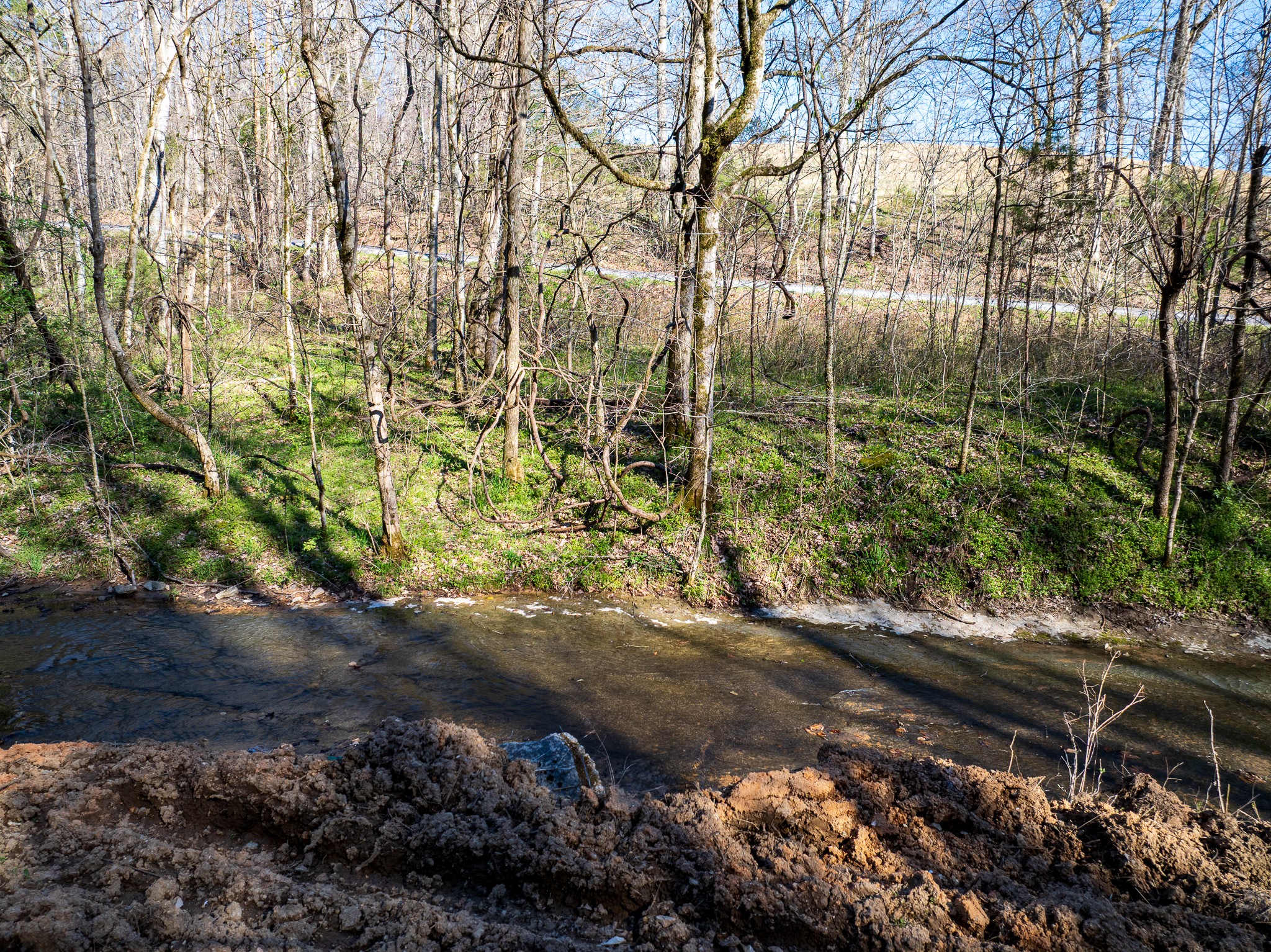 0 Dog Creek Rd Property Photo