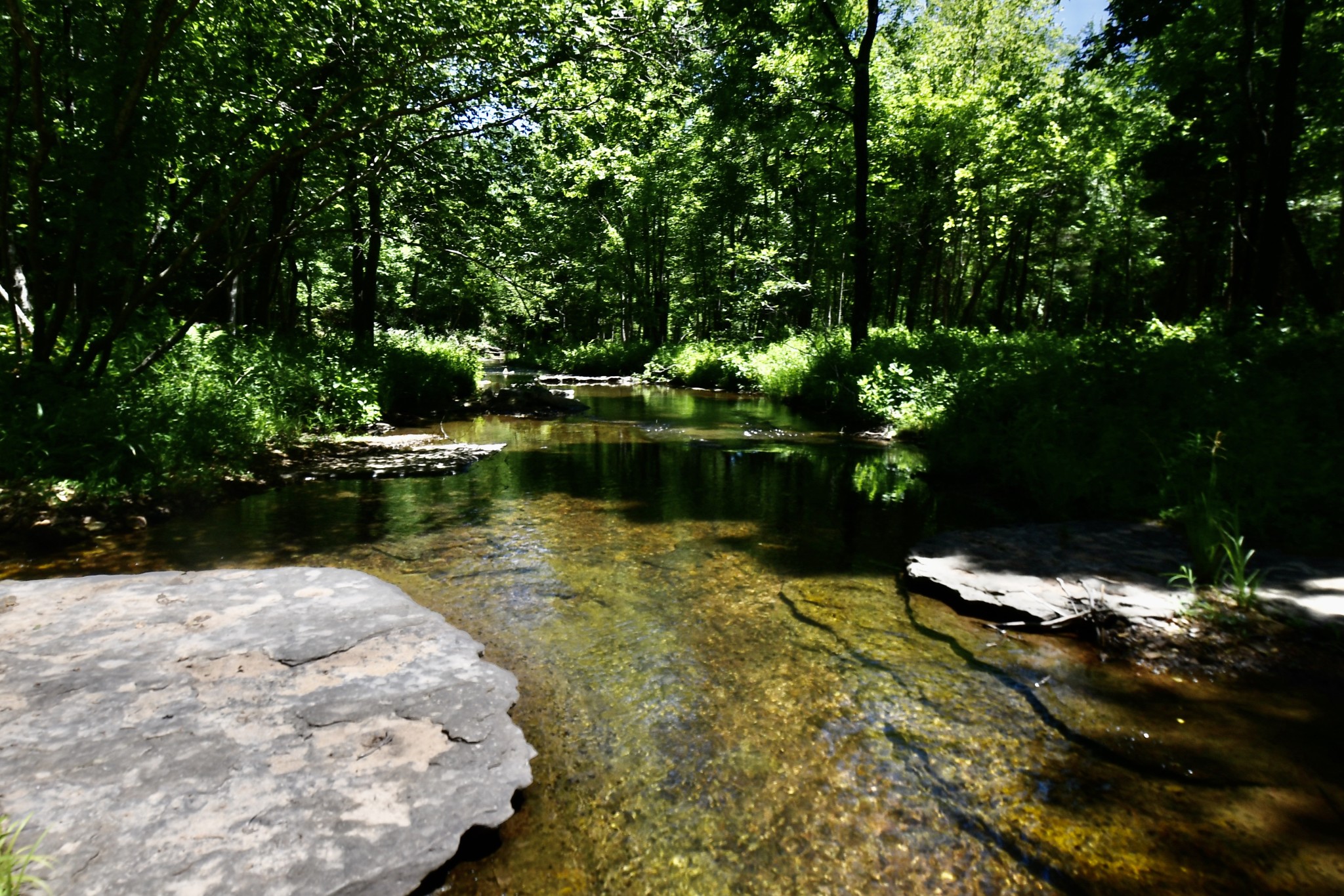 0 Allens Creek Road Property Photo