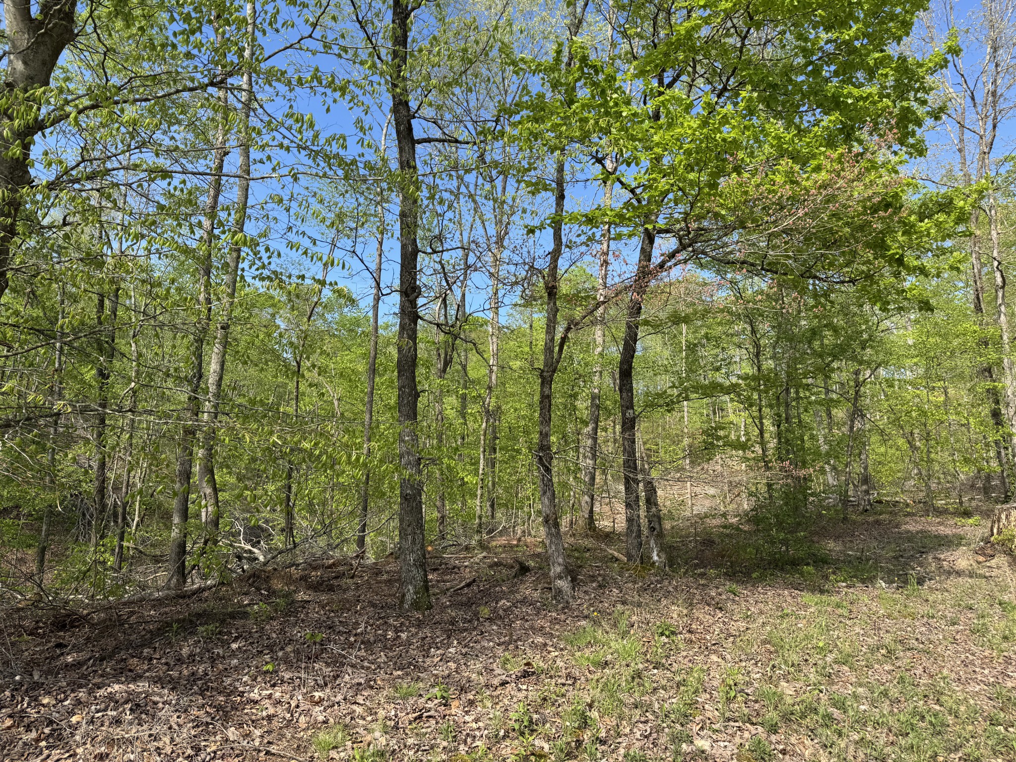 0 Waynesboro Hwy Property Photo 3