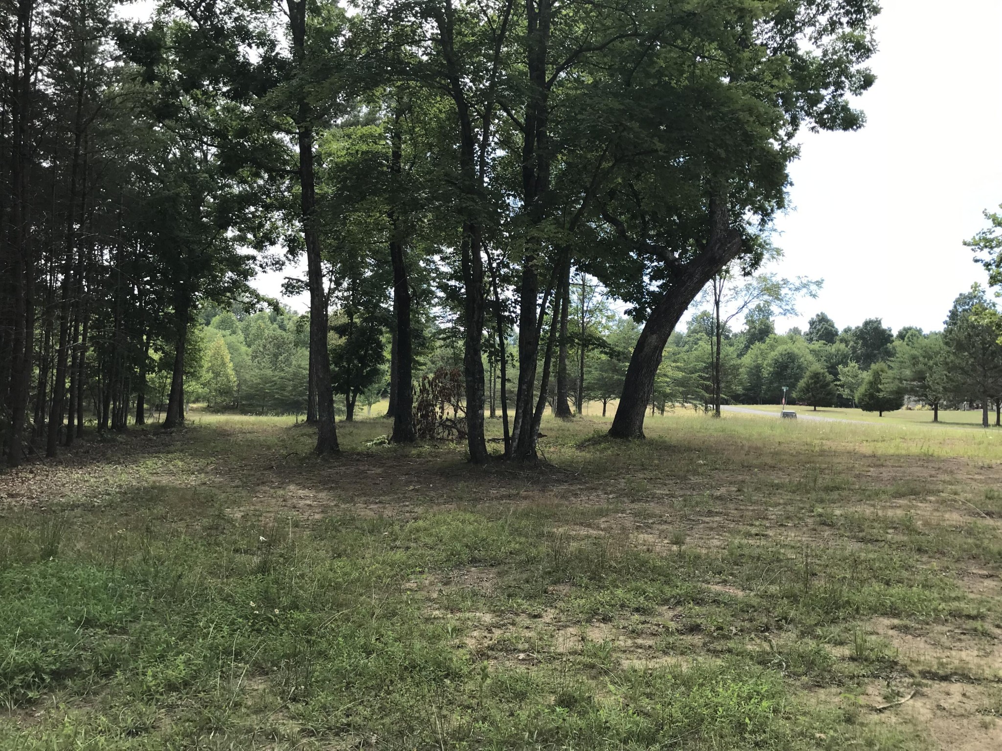 38 Quail Trl Property Photo 1