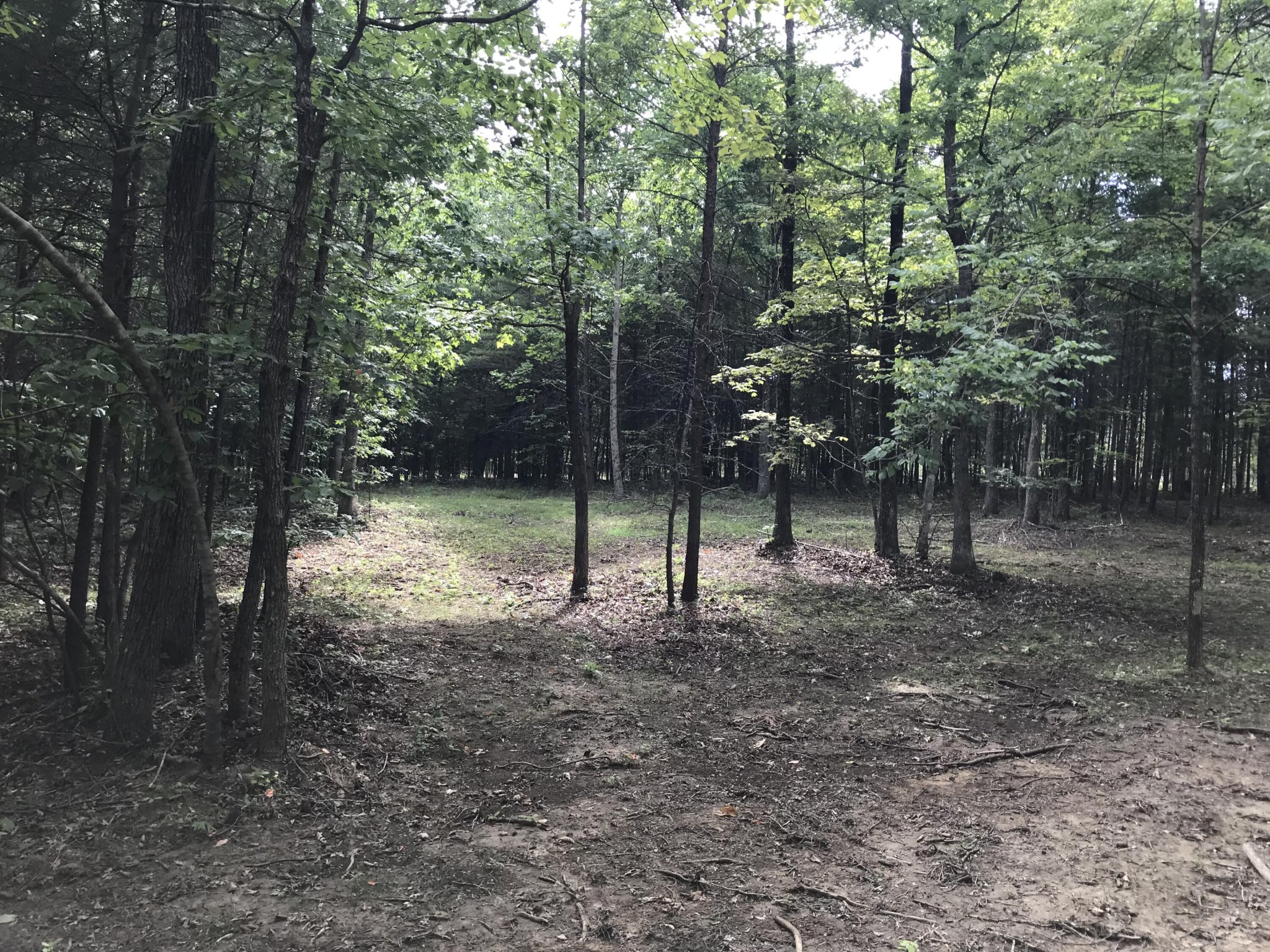 38 Quail Trl Property Photo 2