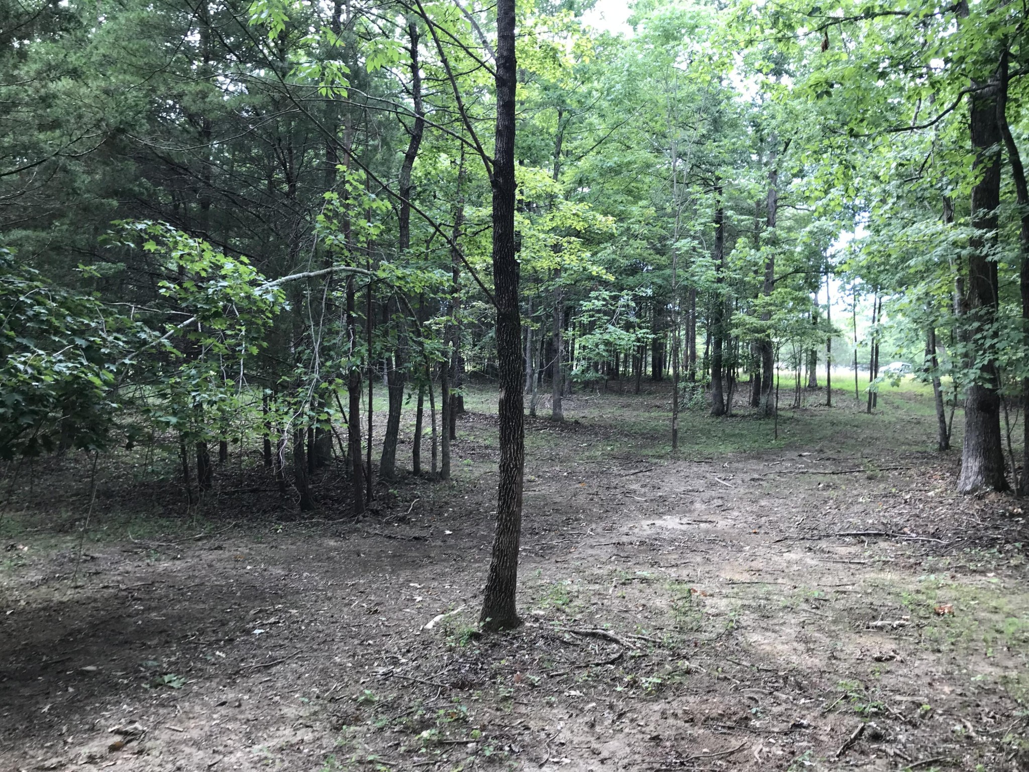 38 Quail Trl Property Photo 3