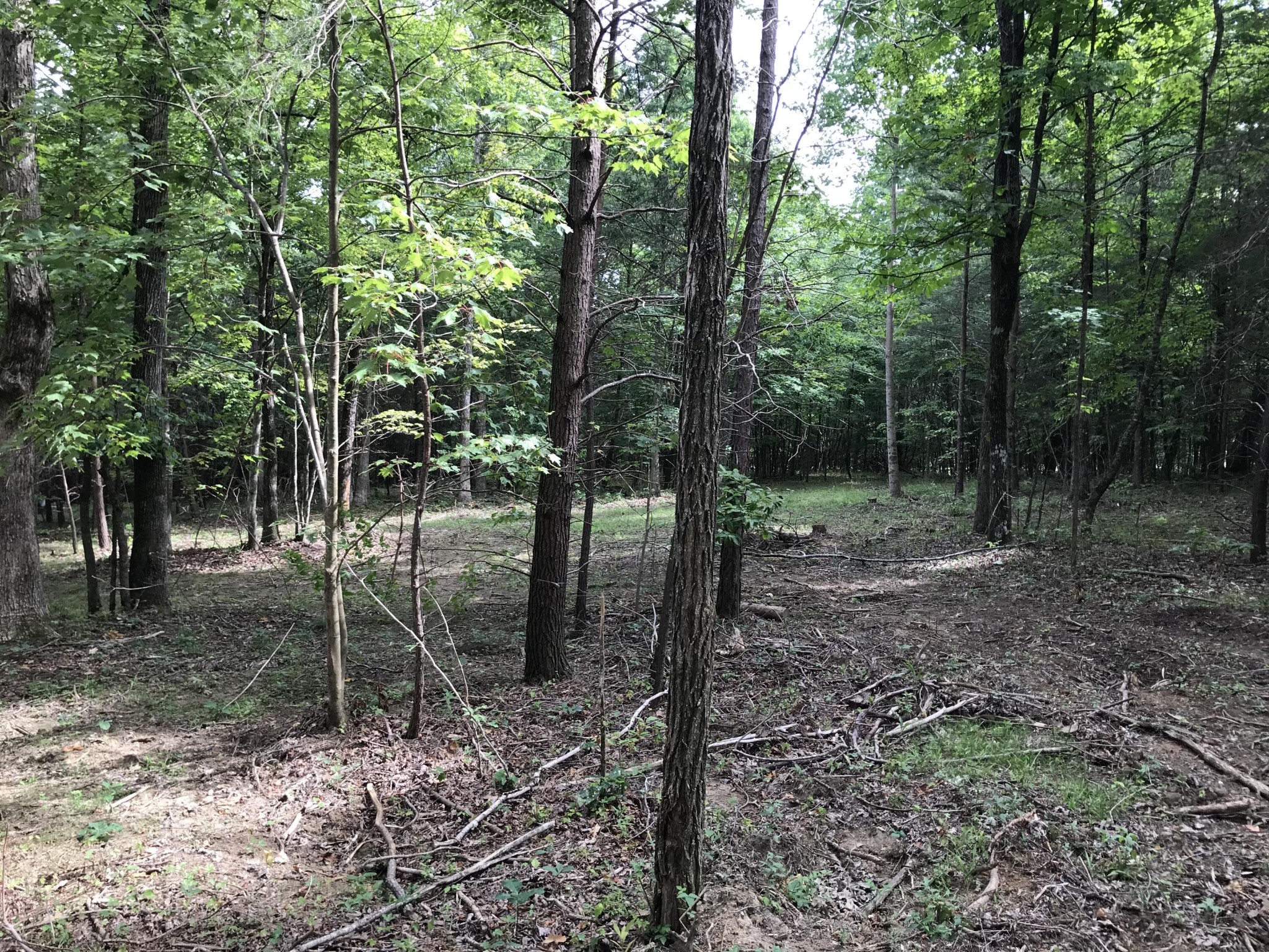38 Quail Trl Property Photo 4