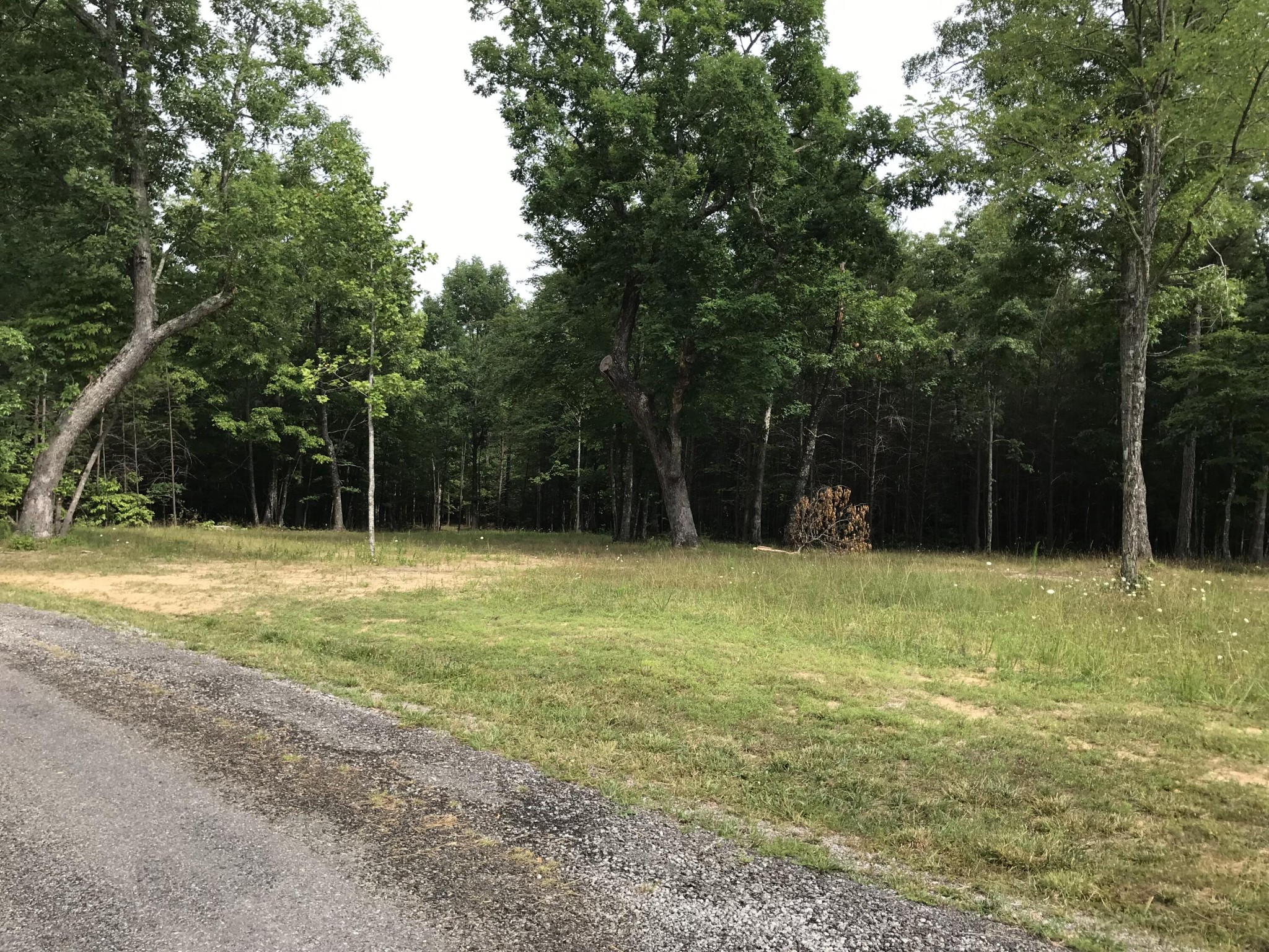 38 Quail Trl Property Photo 6