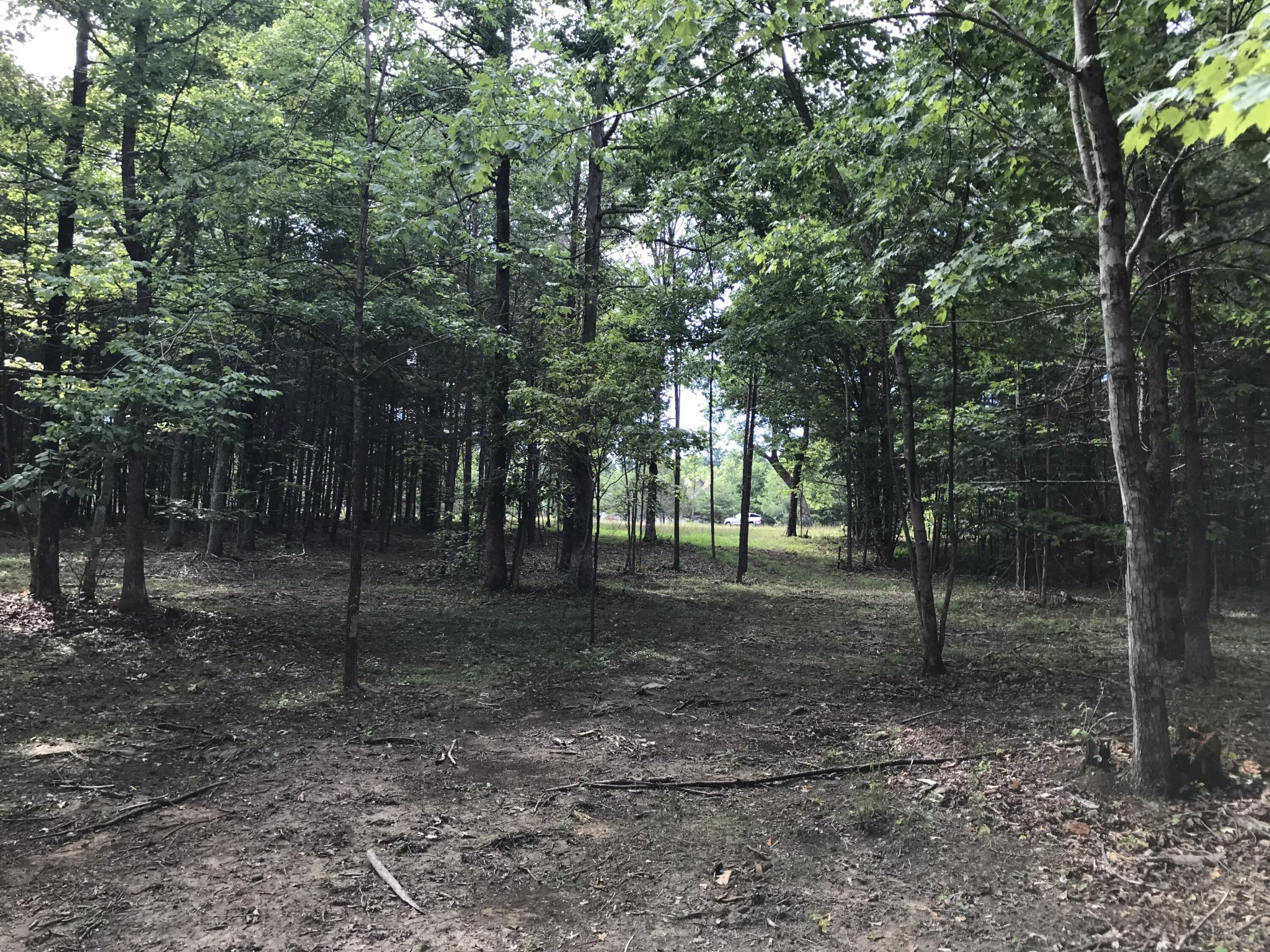 38 Quail Trl Property Photo 7