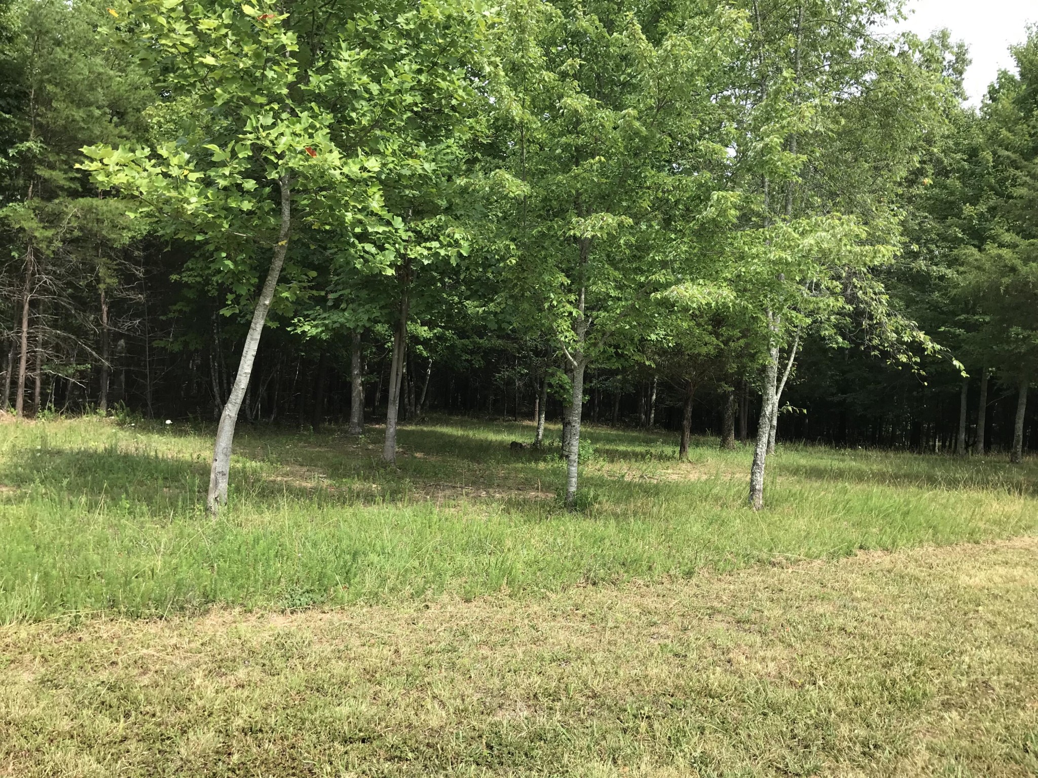 38 Quail Trl Property Photo 8