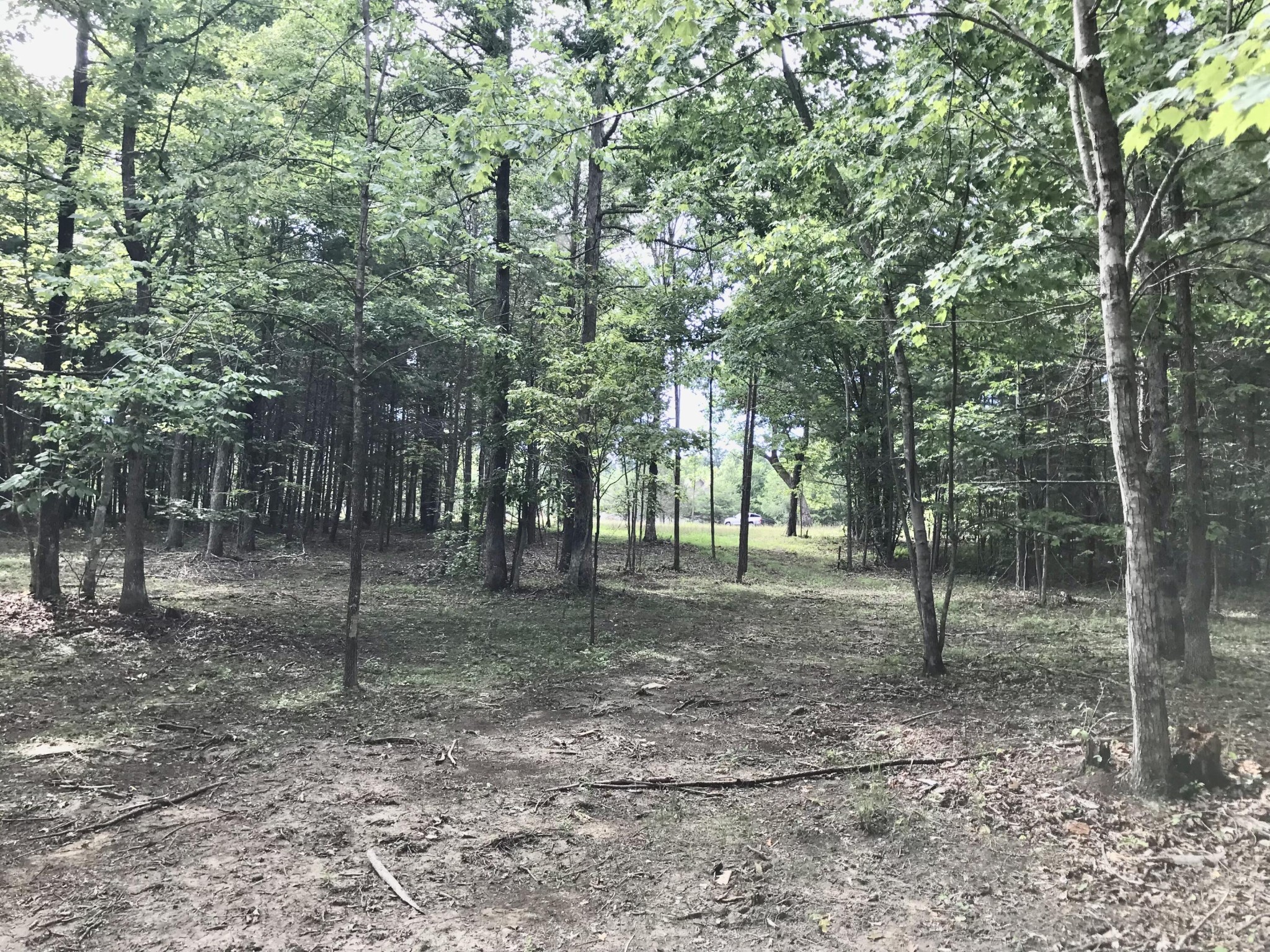 38 Quail Trl Property Photo 9