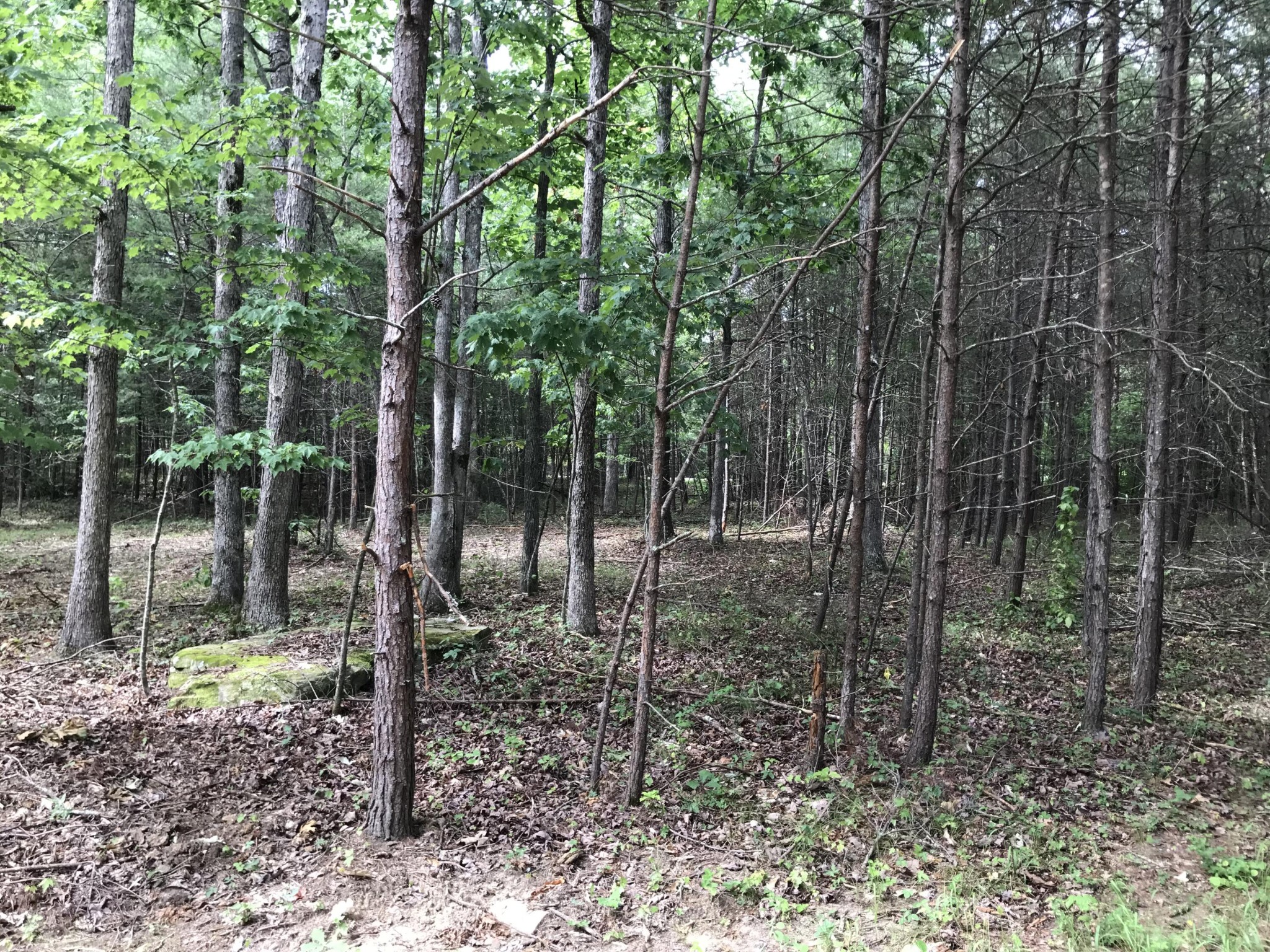 38 Quail Trl Property Photo 10