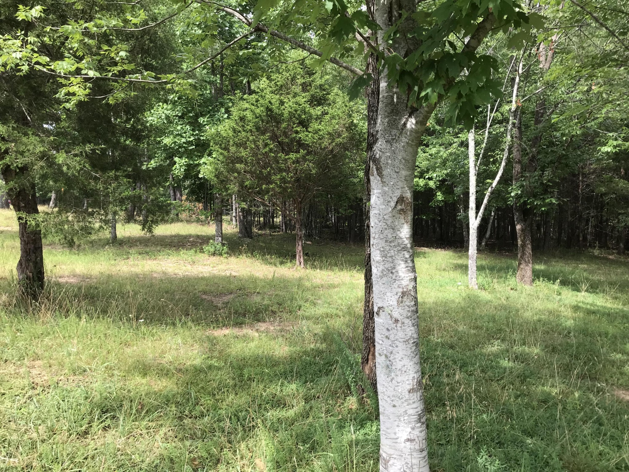38 Quail Trl Property Photo 13