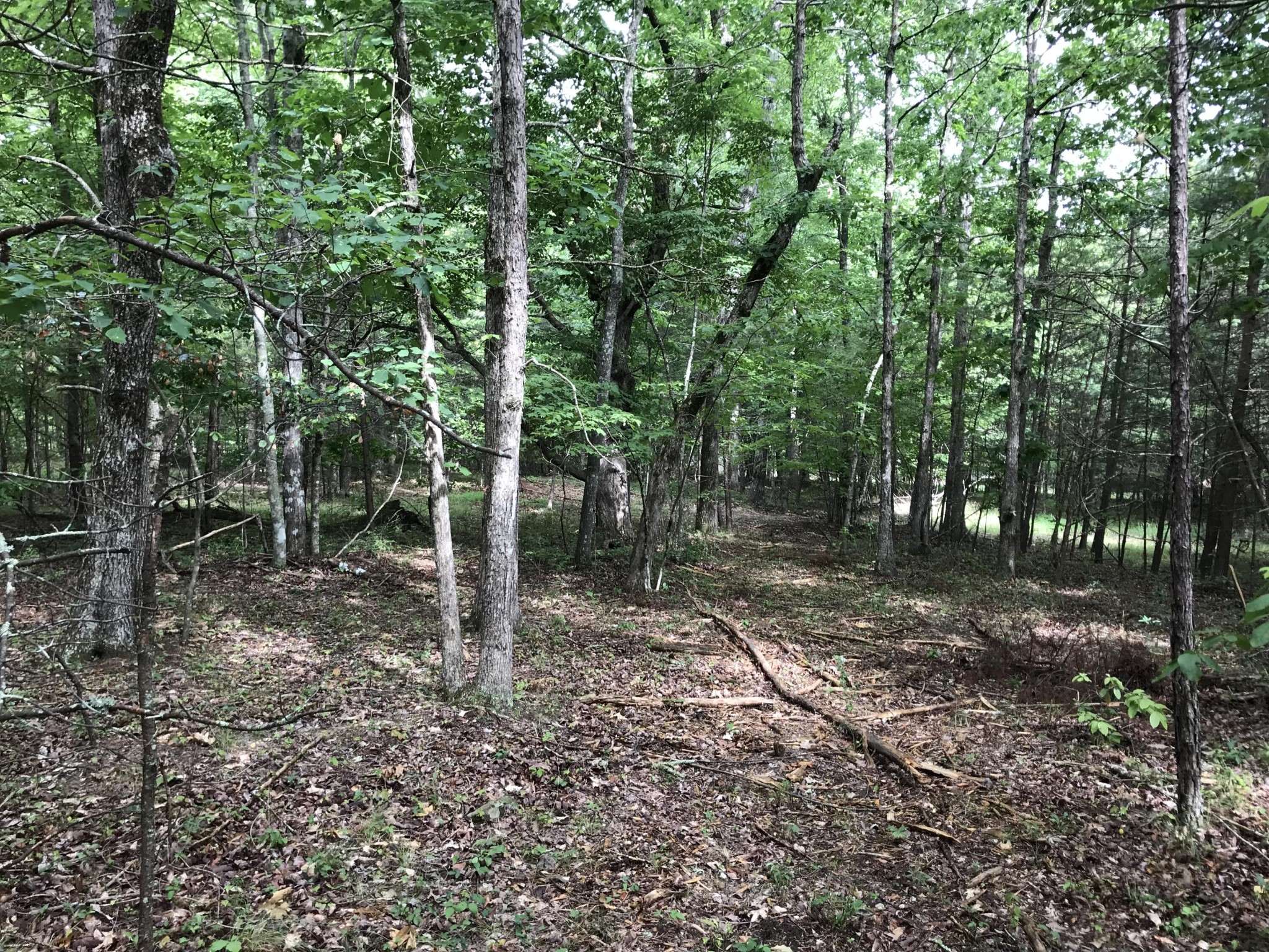 38 Quail Trl Property Photo 14