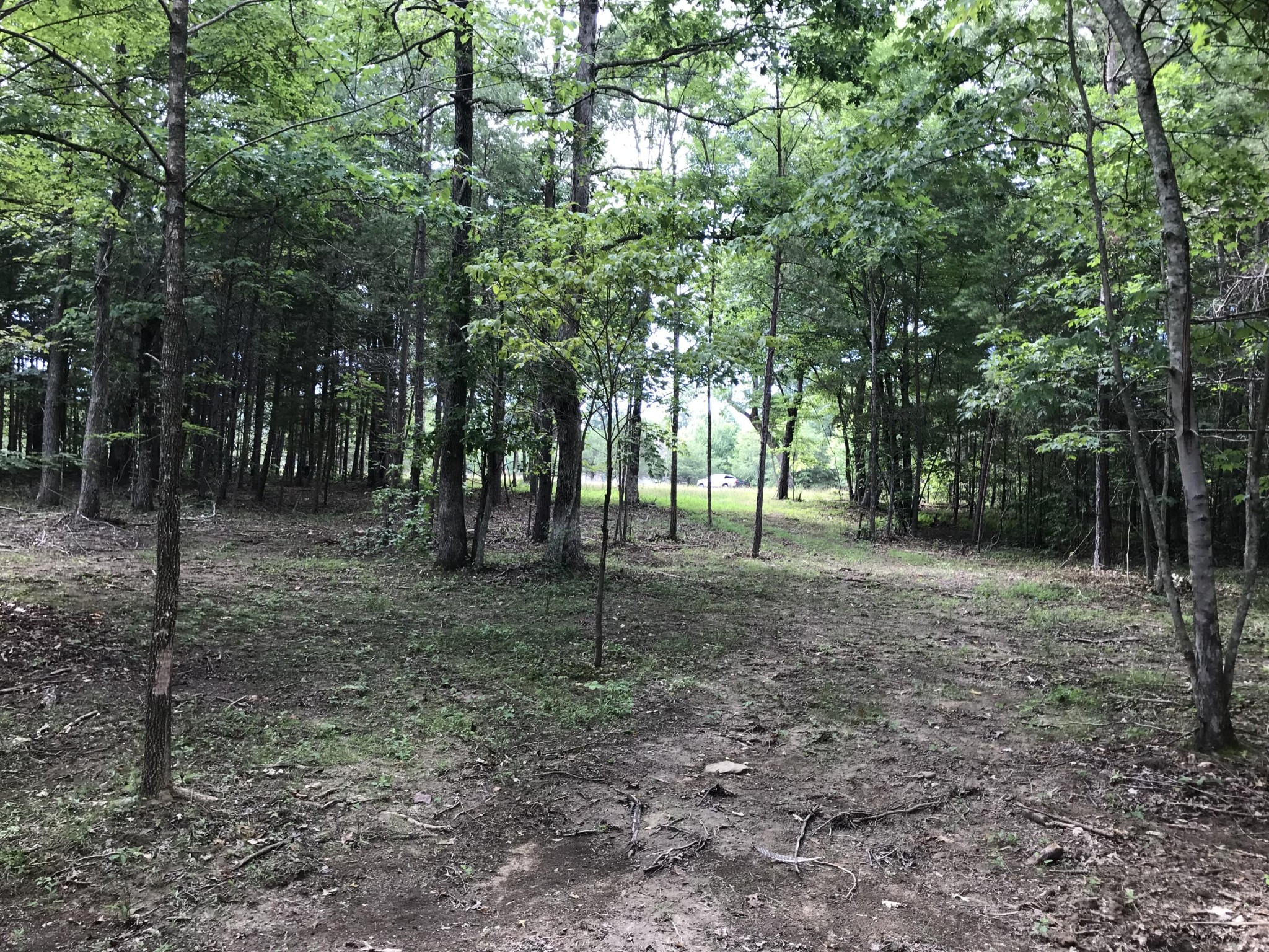 38 Quail Trl Property Photo 15