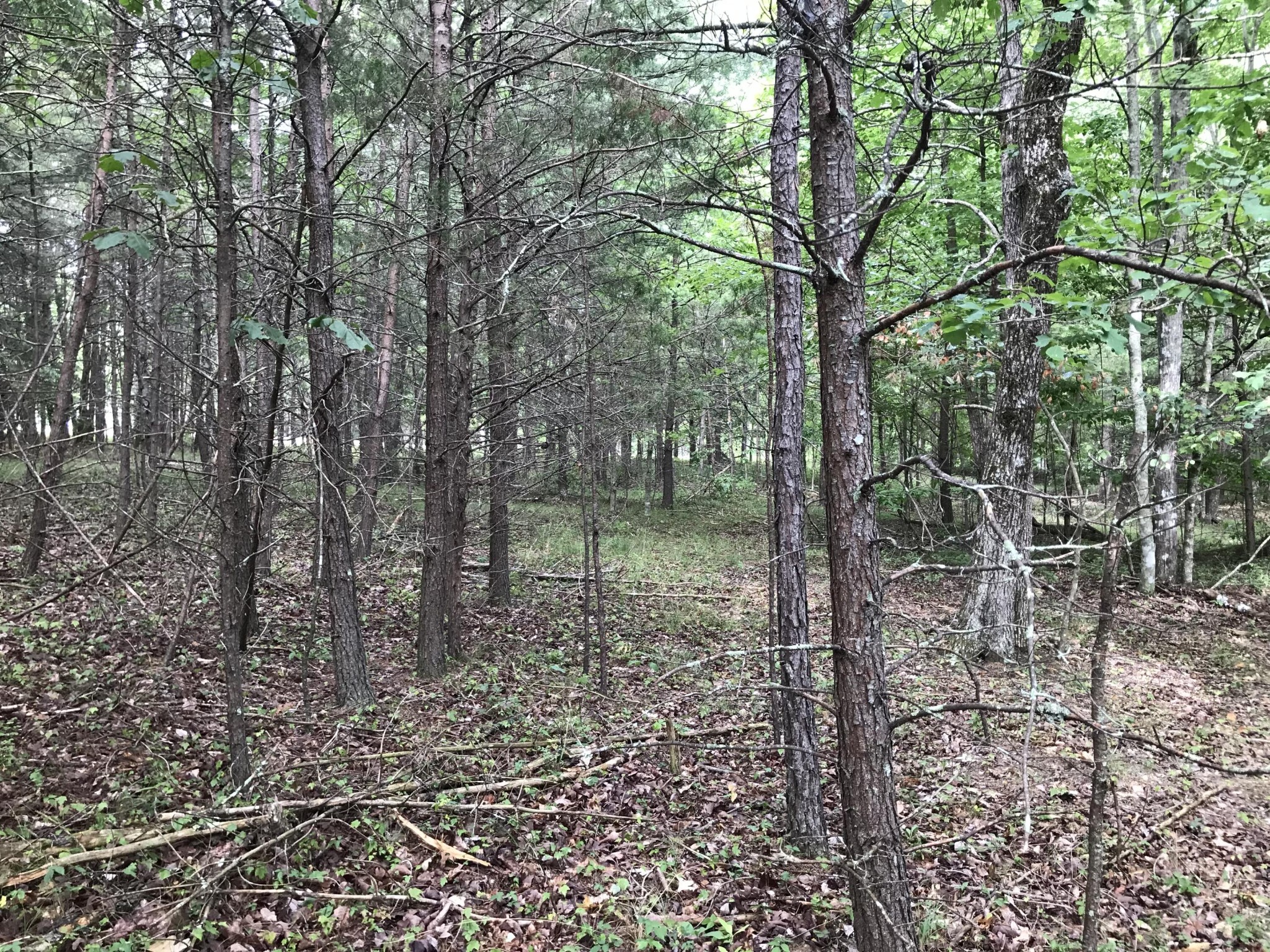 38 Quail Trl Property Photo 16
