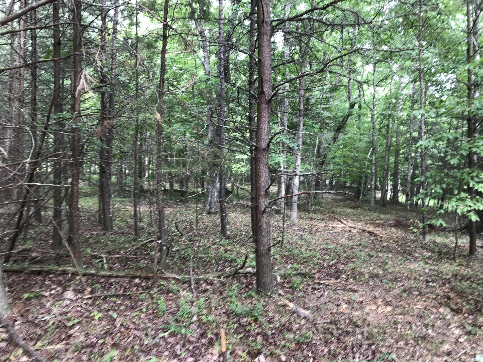38 Quail Trl Property Photo 17