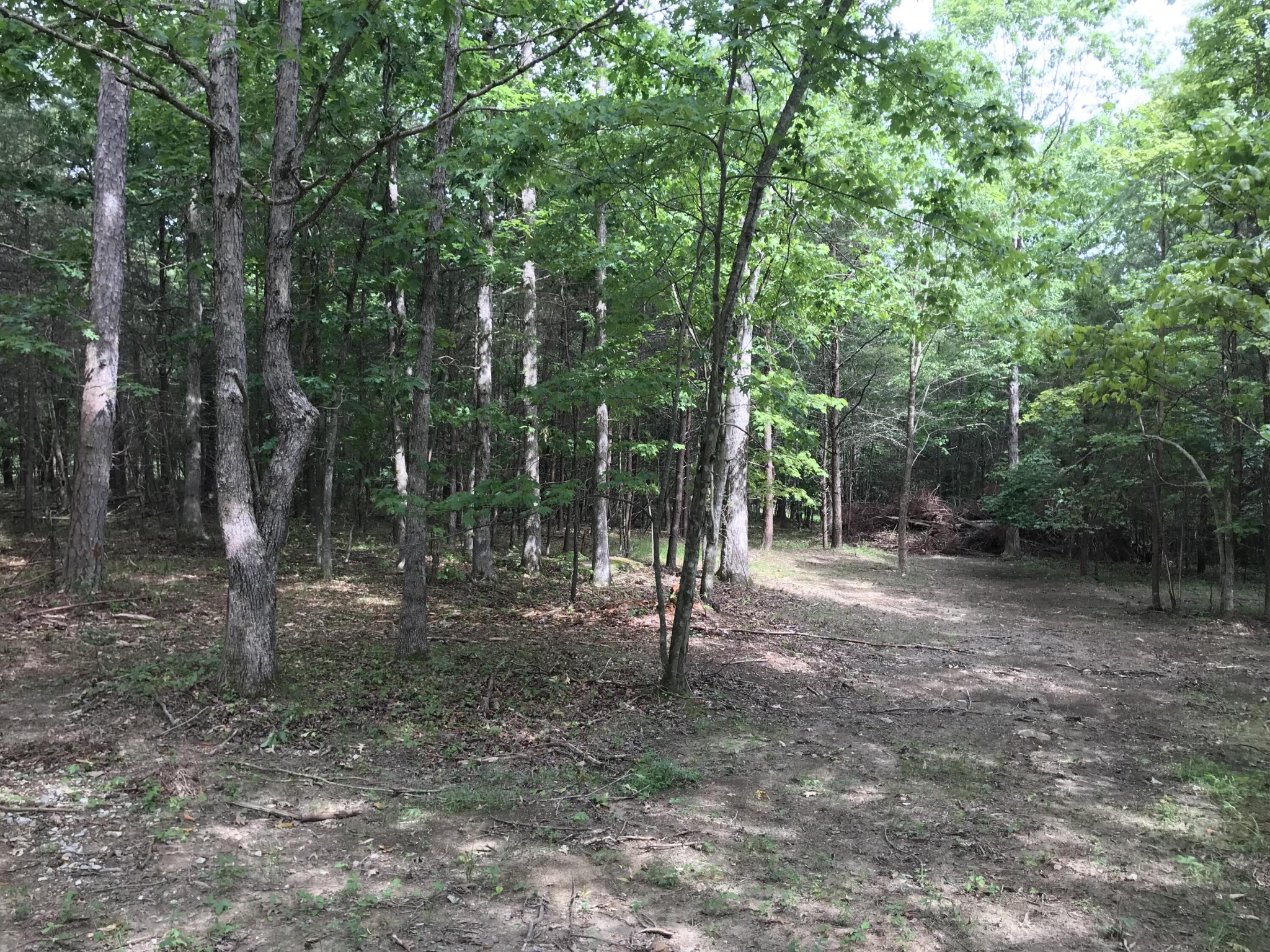 38 Quail Trl Property Photo 18