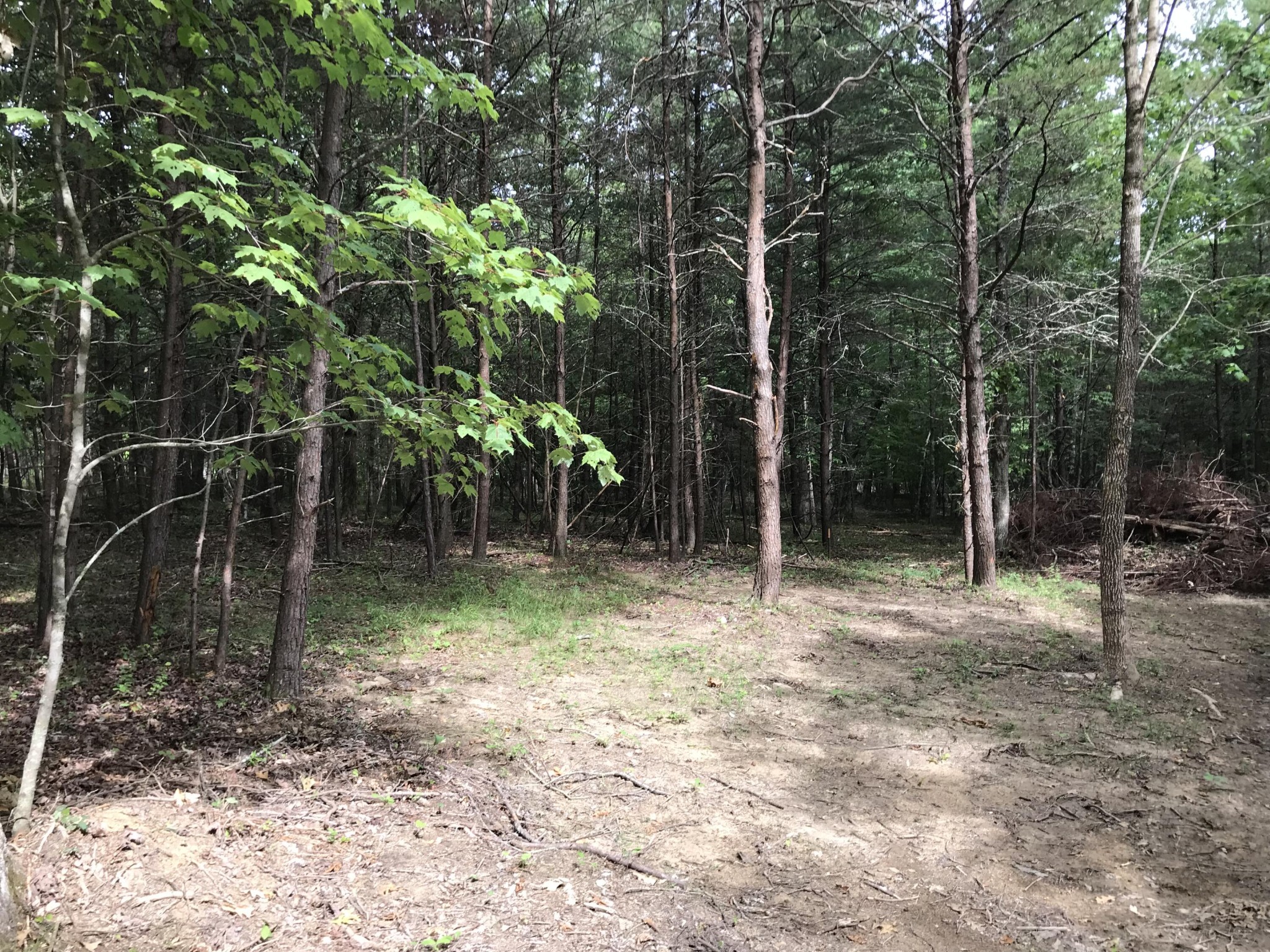 38 Quail Trl Property Photo 19