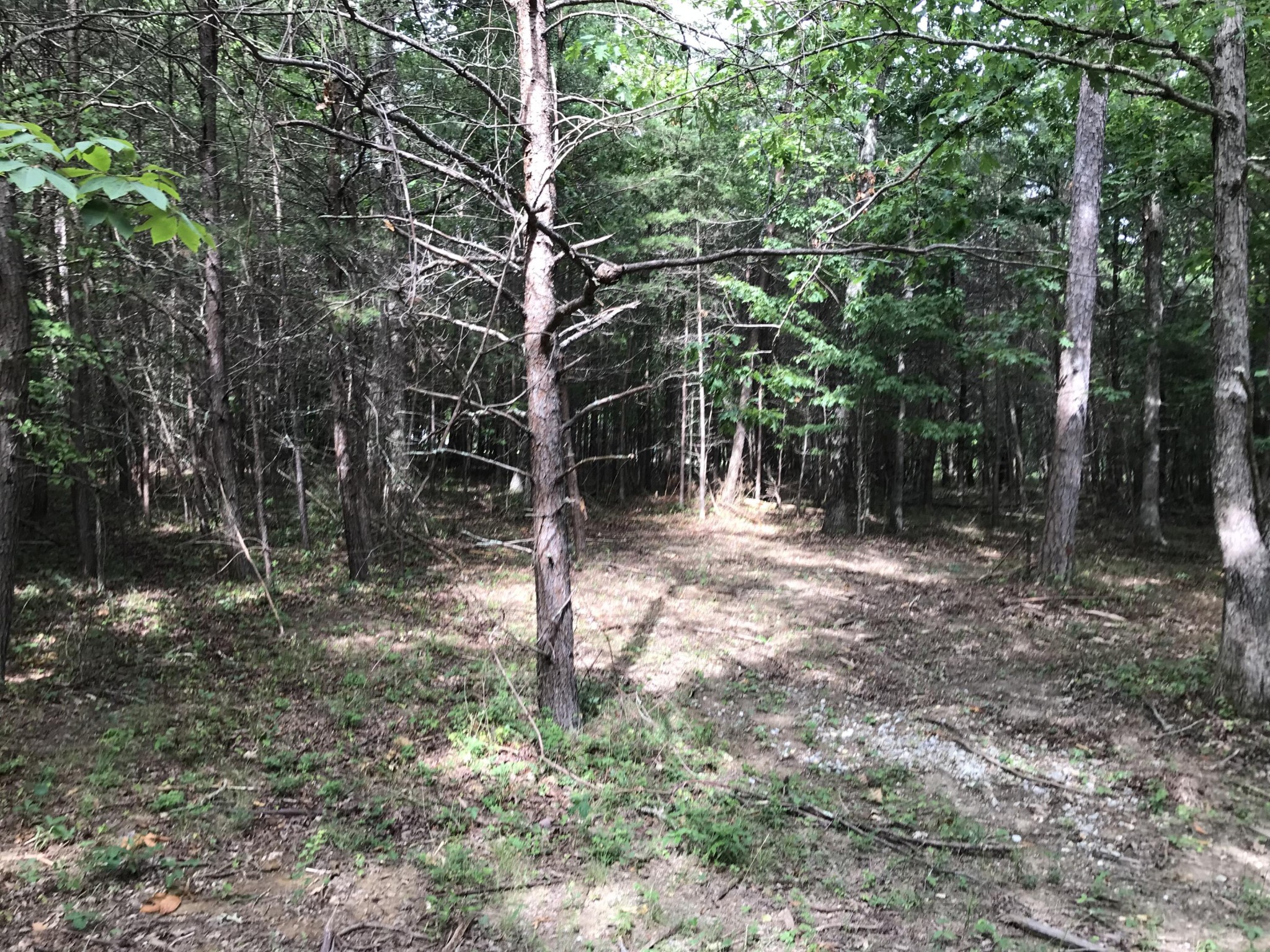 38 Quail Trl Property Photo 20