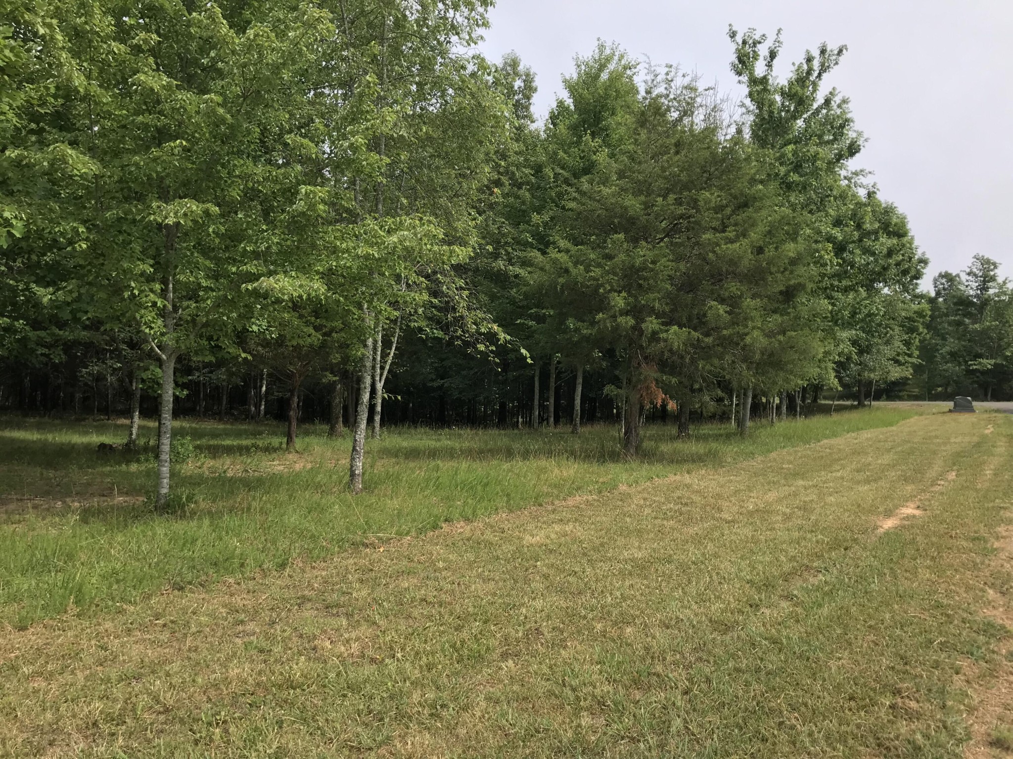 38 Quail Trl Property Photo 21