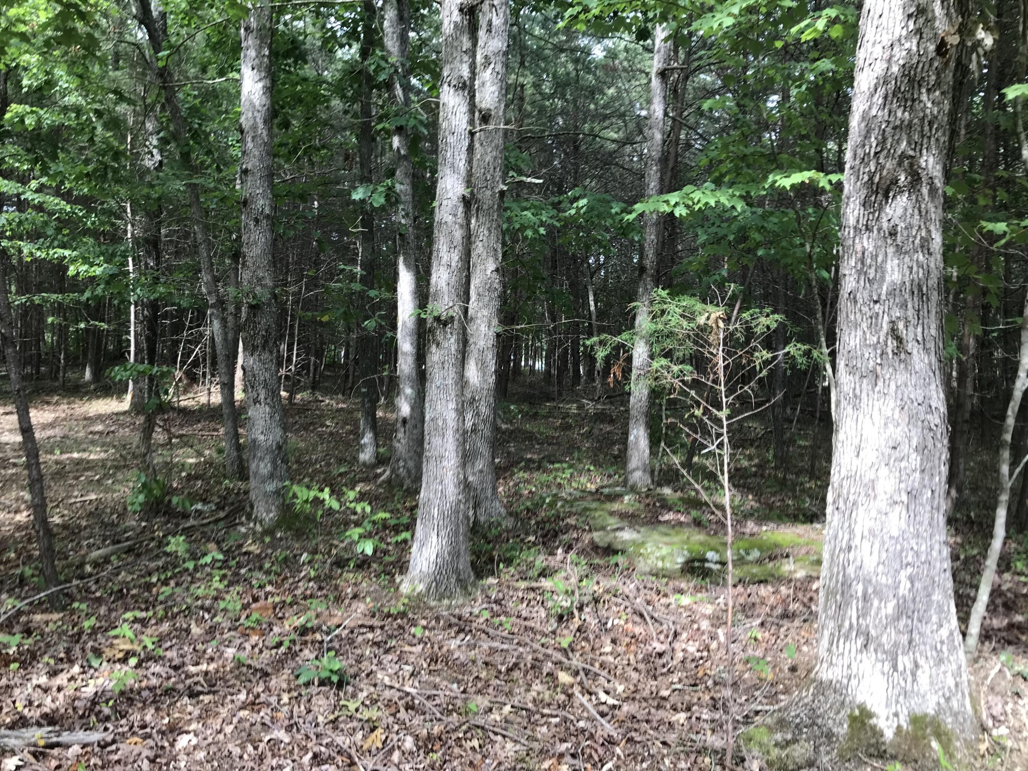 38 Quail Trl Property Photo 22