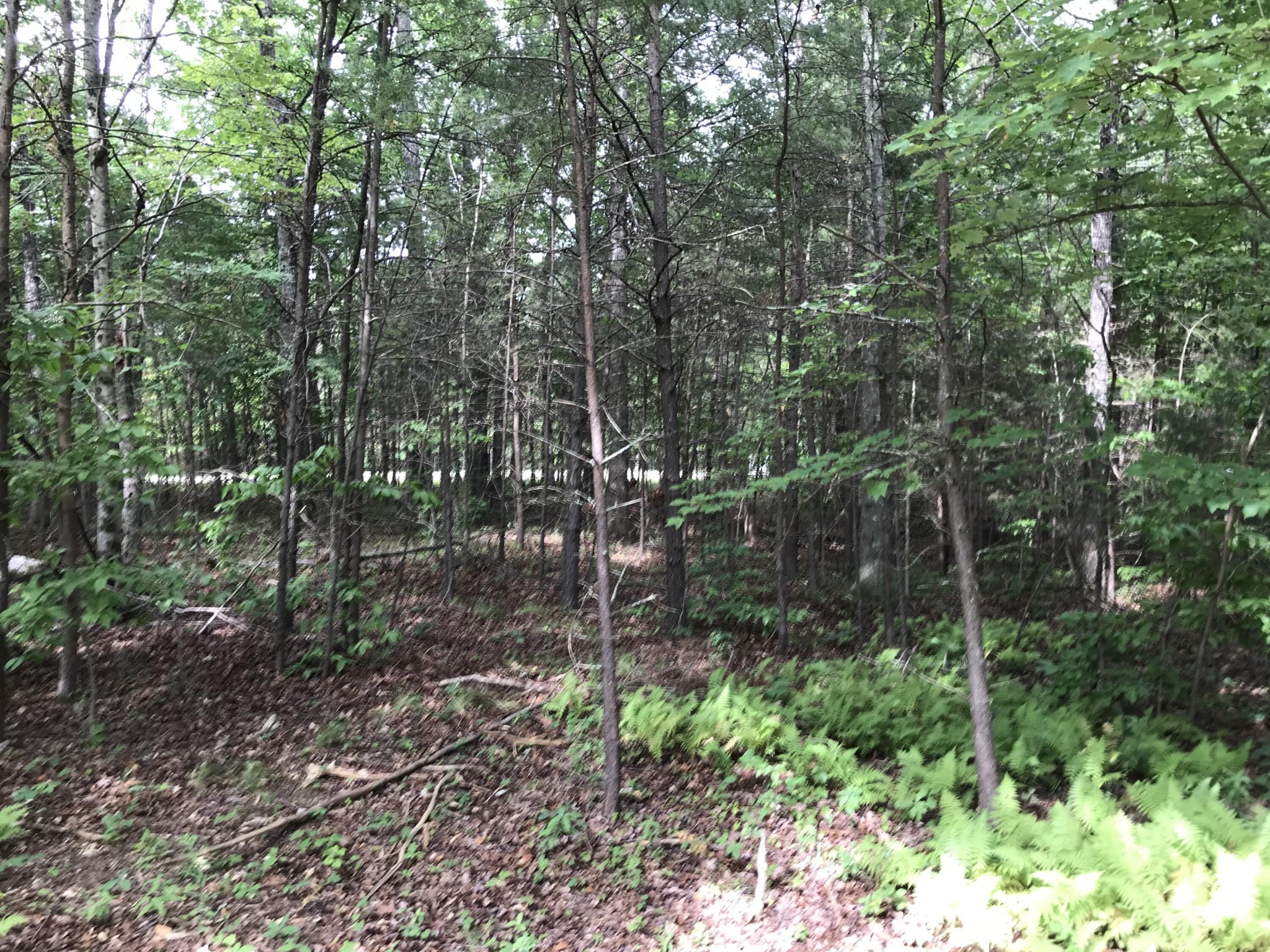 38 Quail Trl Property Photo 23