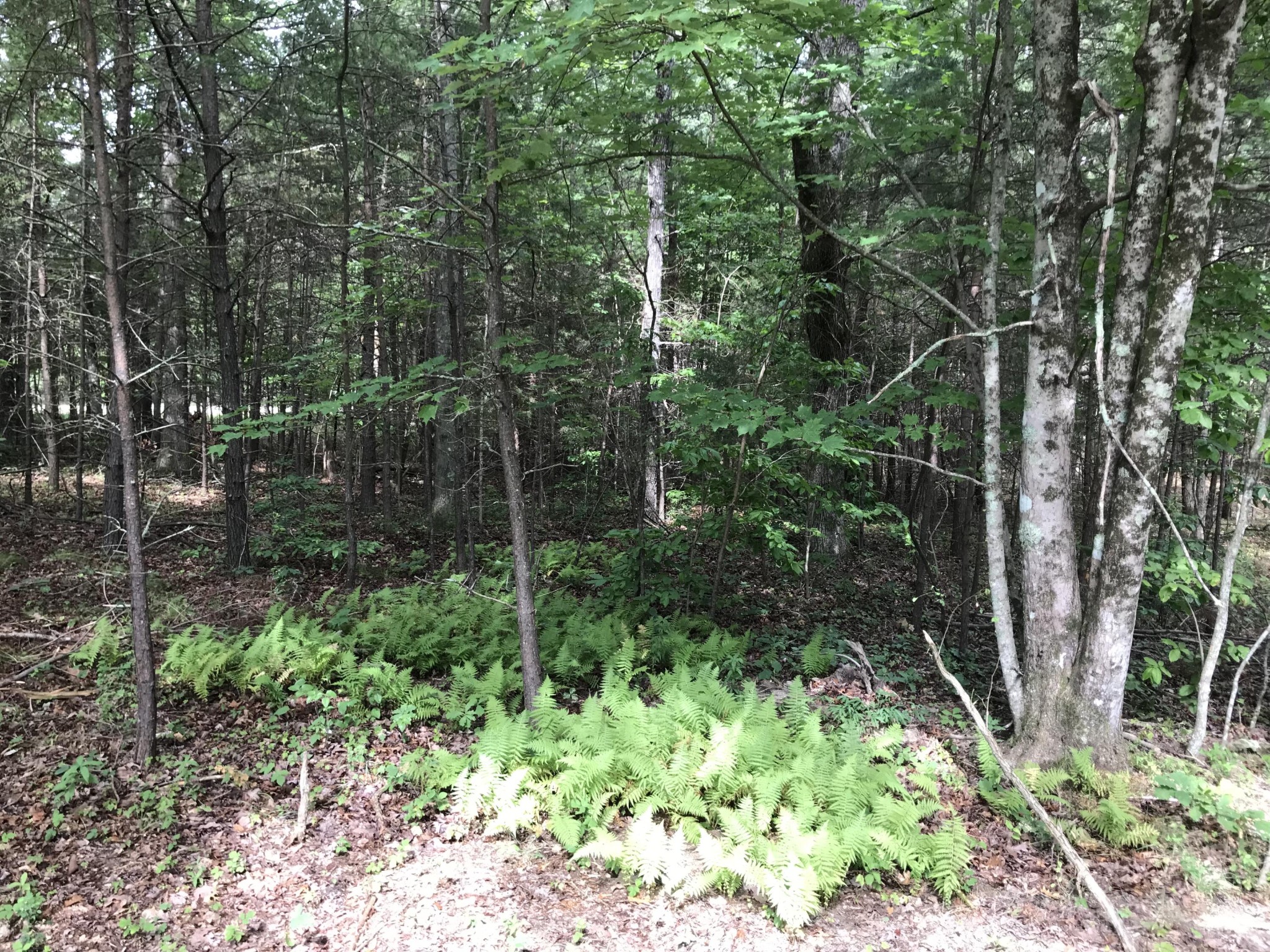 38 Quail Trl Property Photo 24