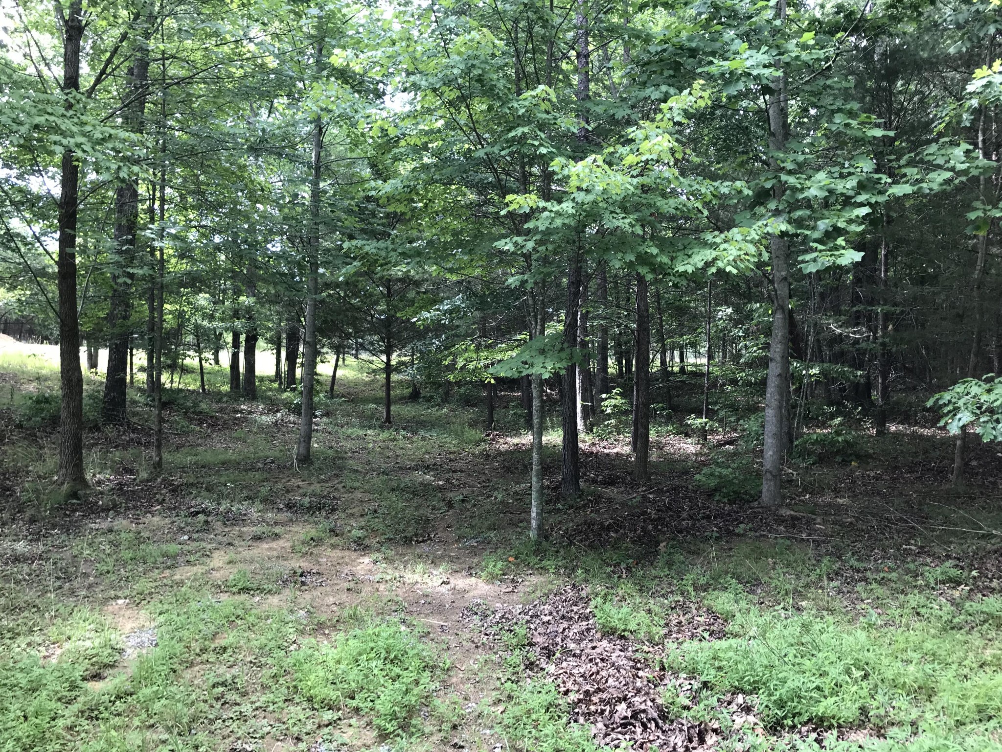 38 Quail Trl Property Photo 25