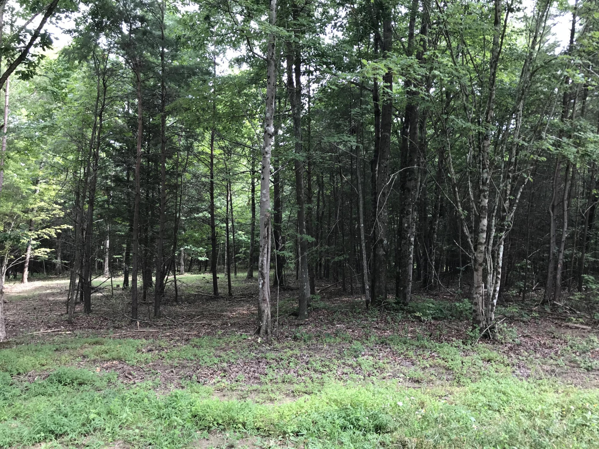 38 Quail Trl Property Photo 26