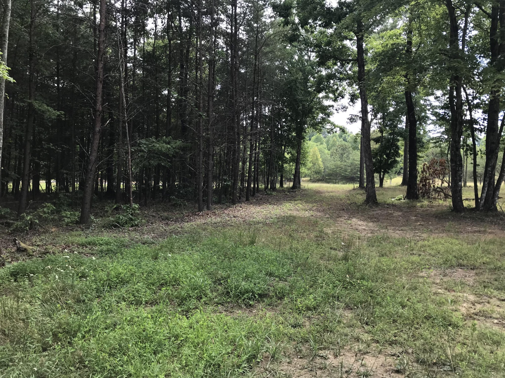 38 Quail Trl Property Photo 27