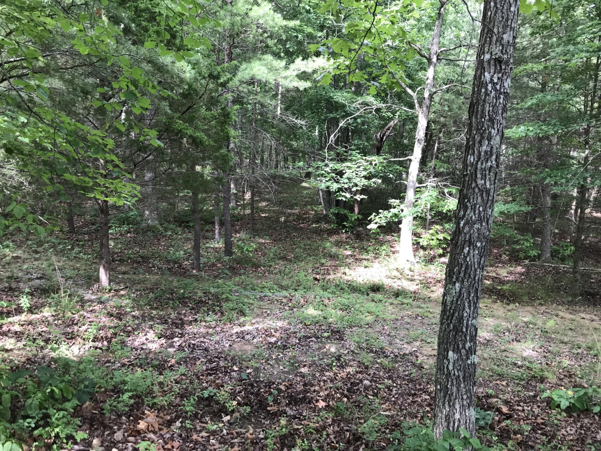 38 Quail Trl Property Photo 28