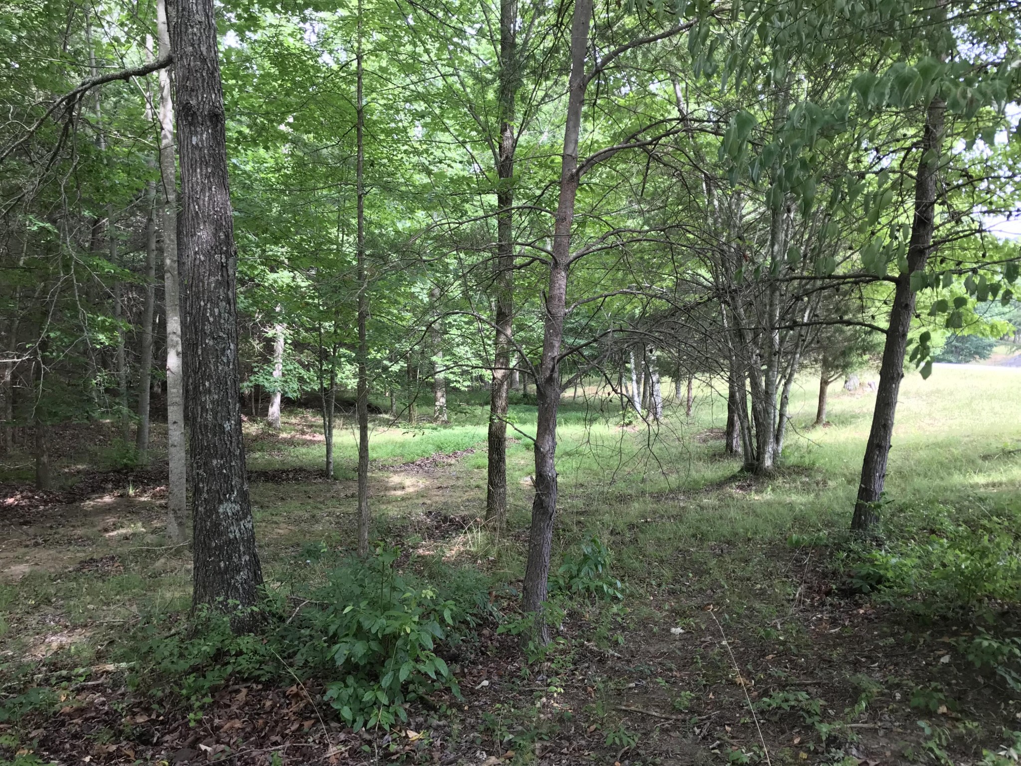 38 Quail Trl Property Photo 30