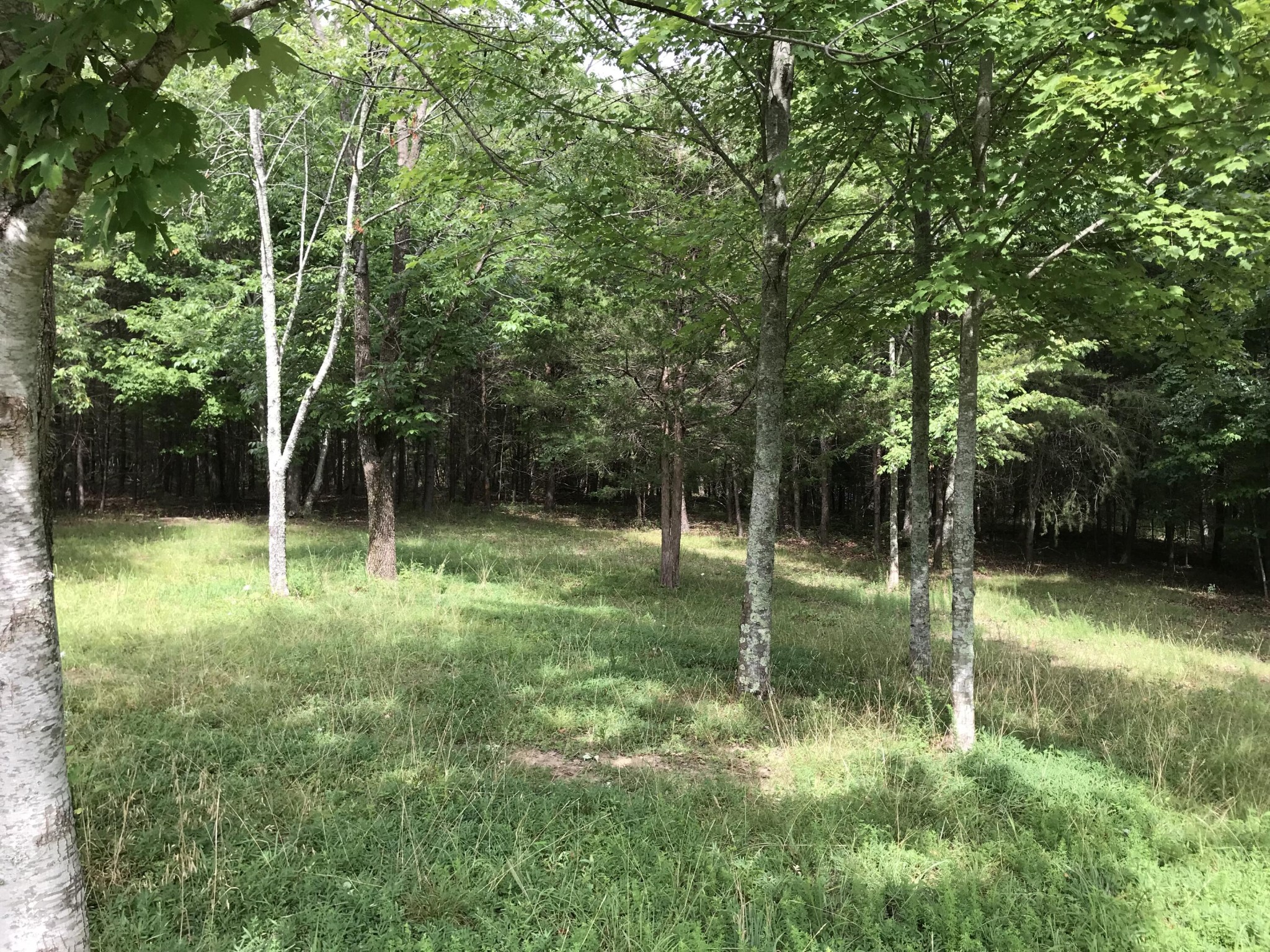 38 Quail Trl Property Photo 31
