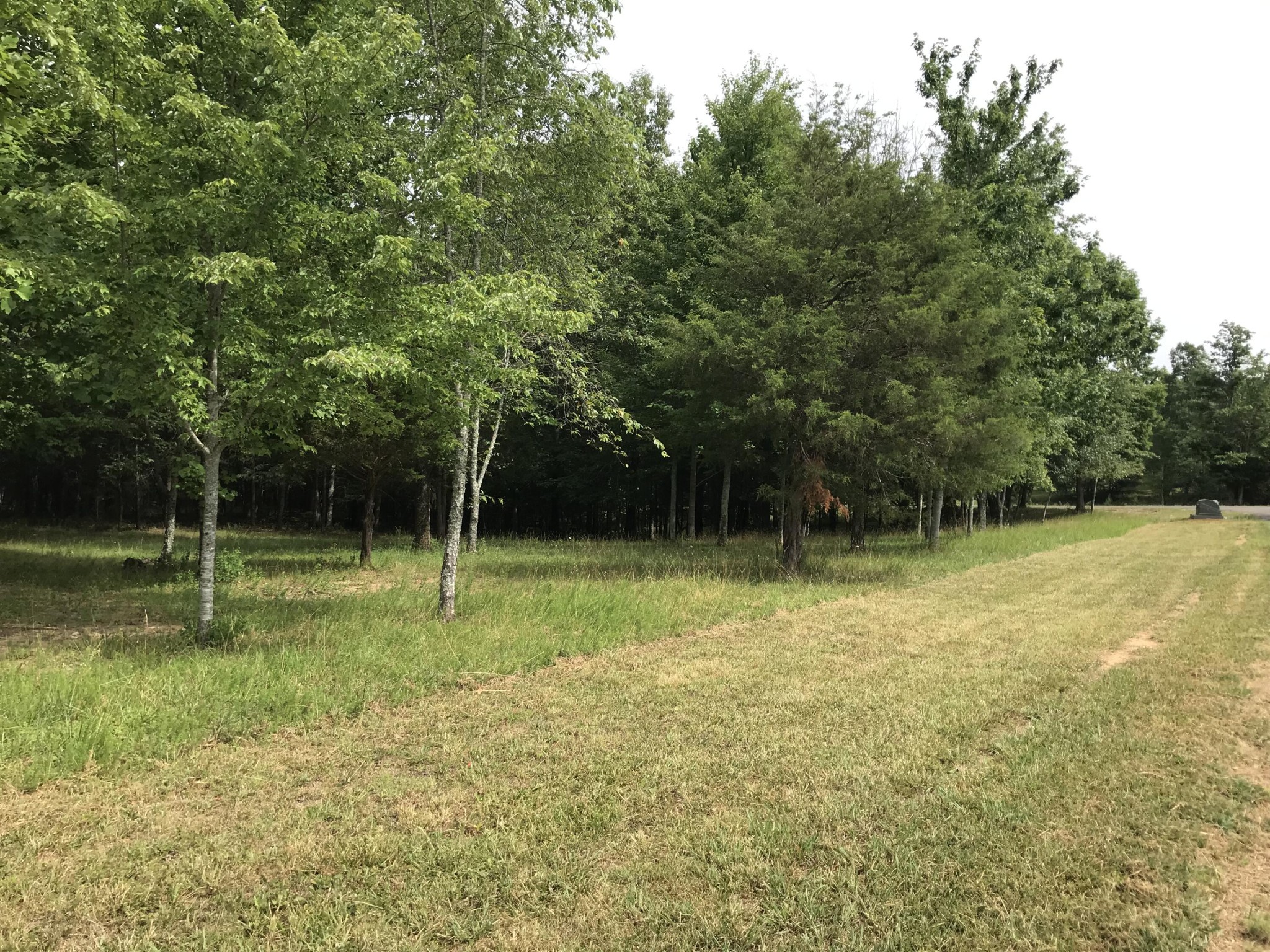 38 Quail Trl Property Photo 32
