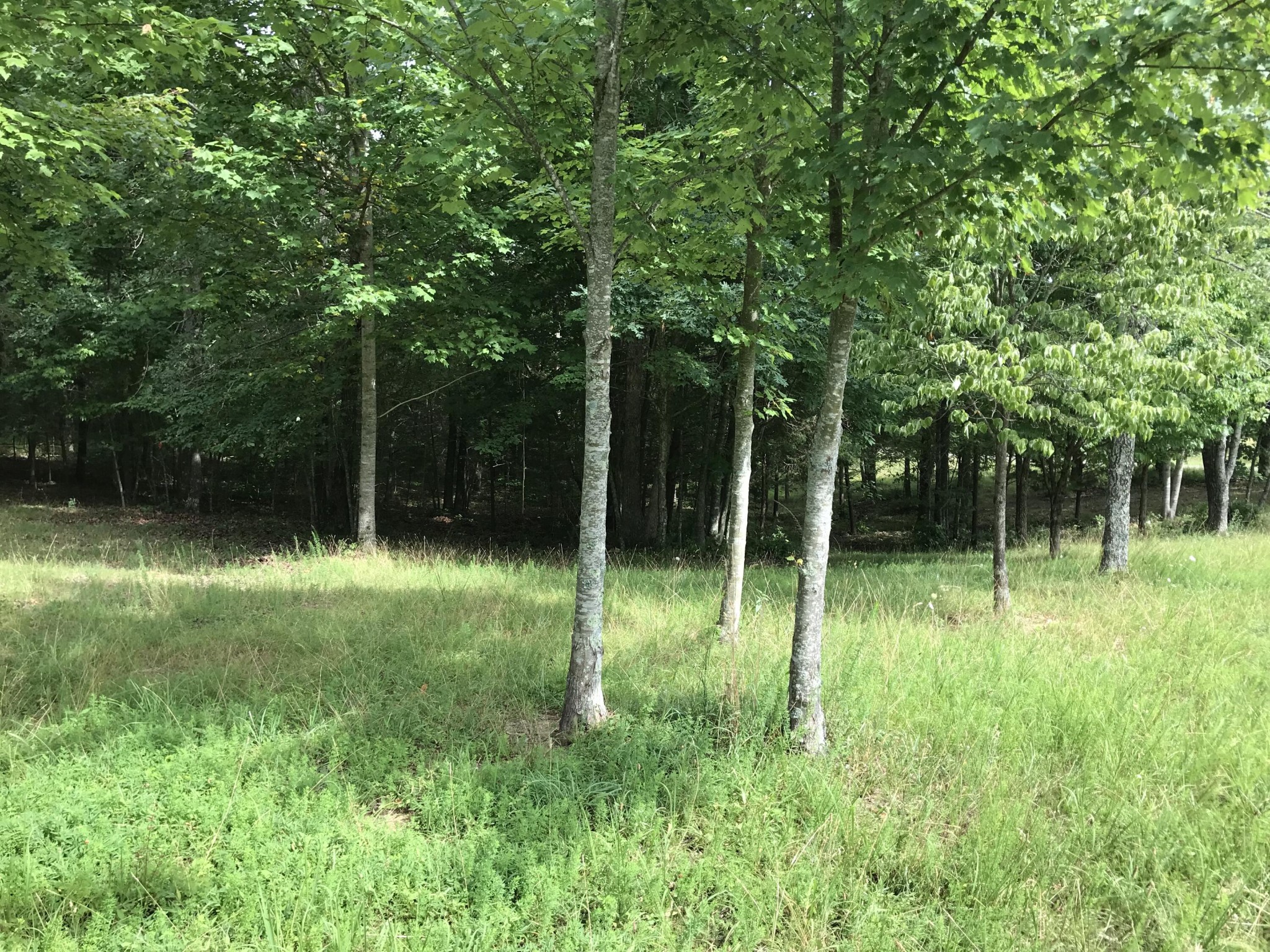 38 Quail Trl Property Photo 33