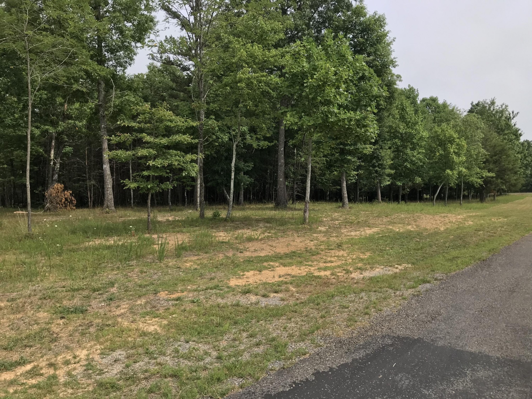 38 Quail Trl Property Photo 35