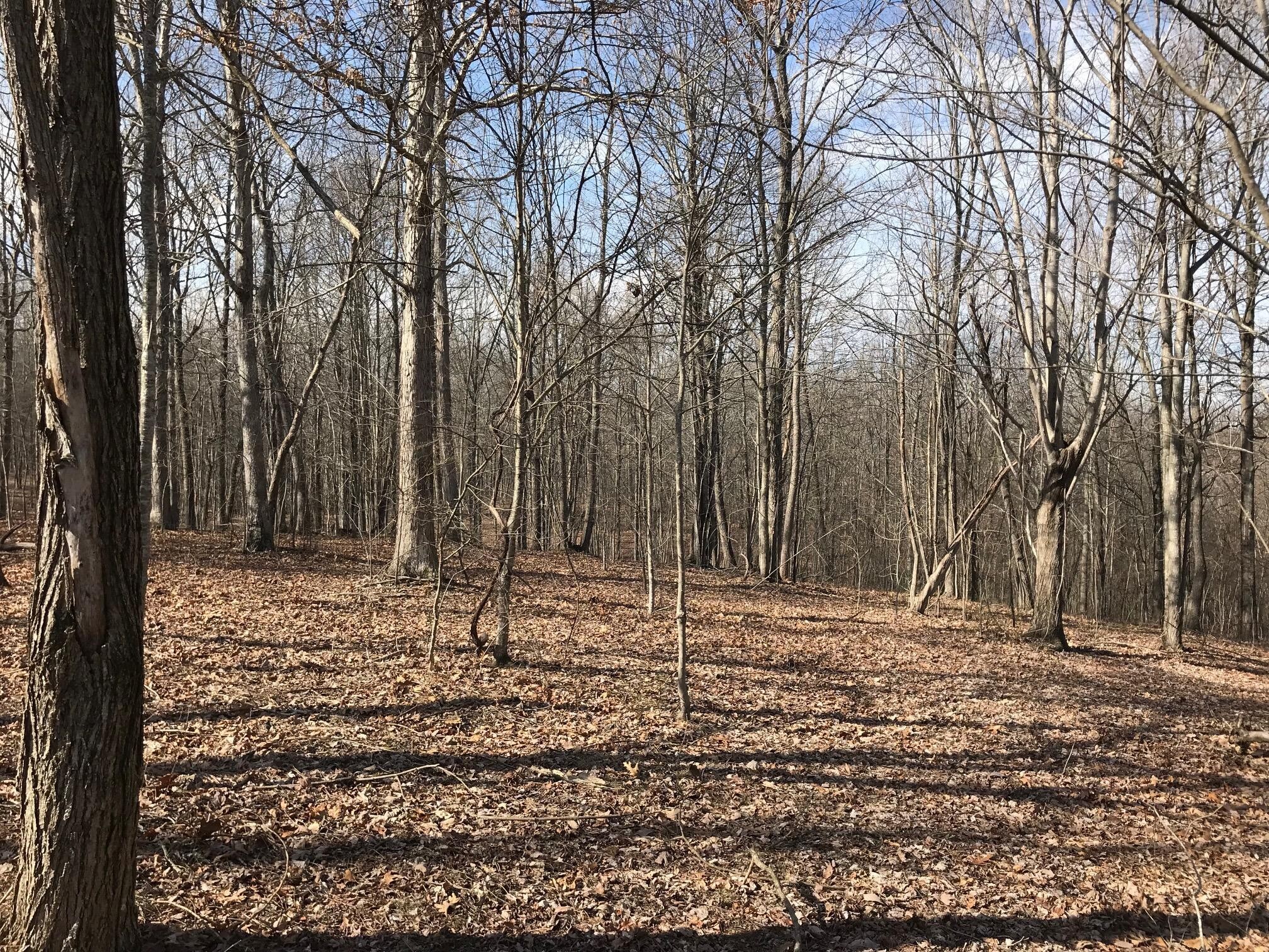 504 Wilderness Way Property Photo 1