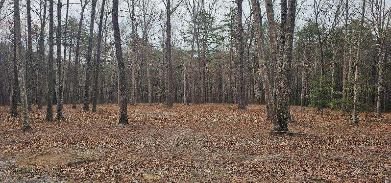 1147 Woods Rd Road Property Photo