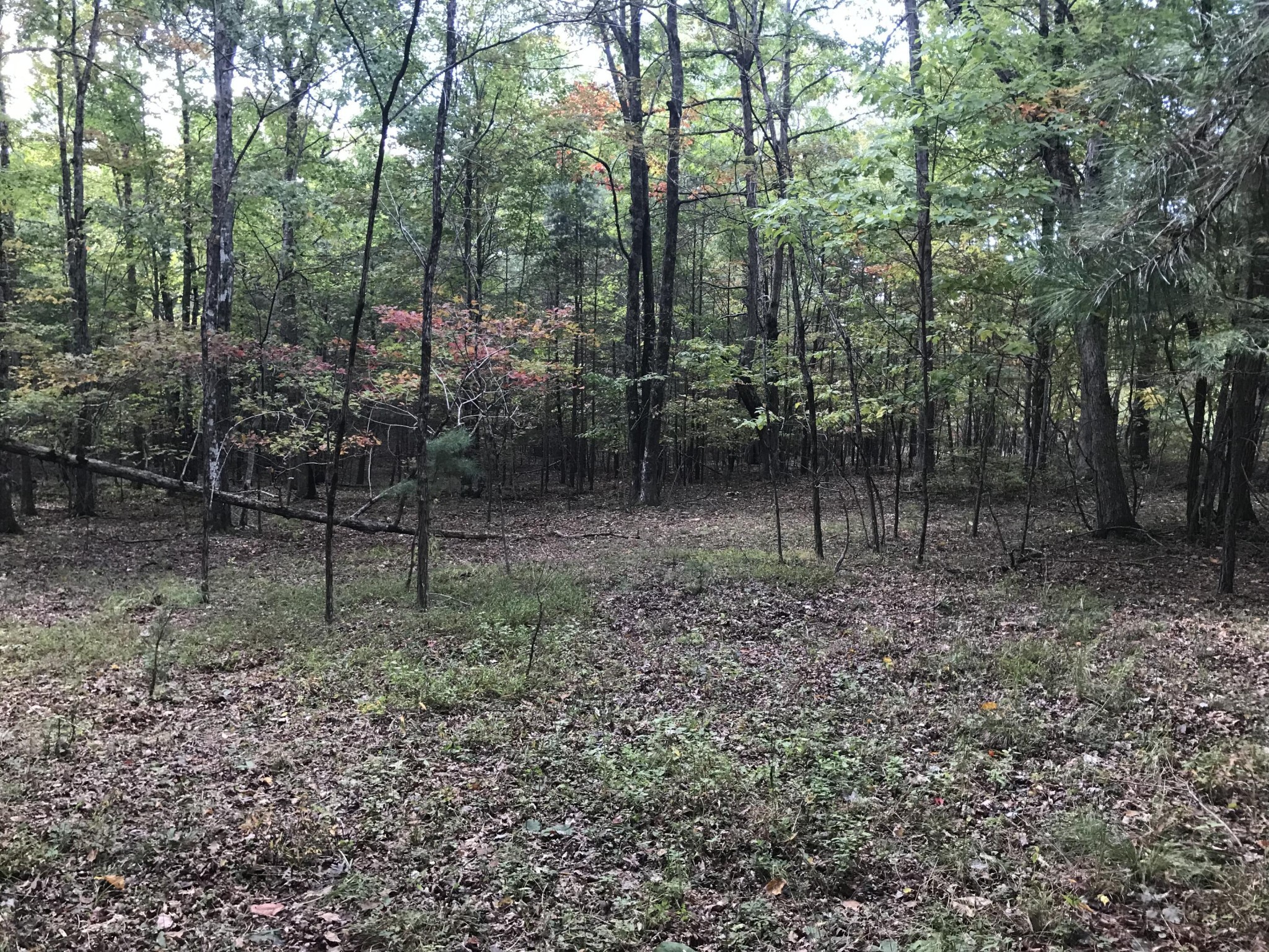 57 Deer Point Drive Property Photo 3