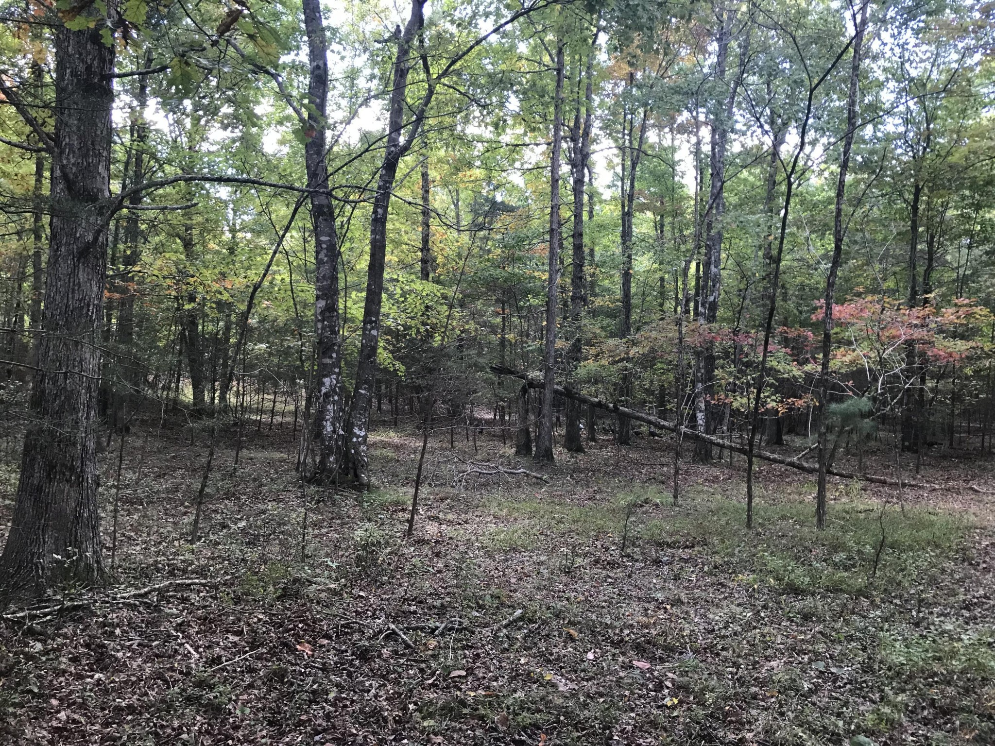 57 Deer Point Drive Property Photo 5