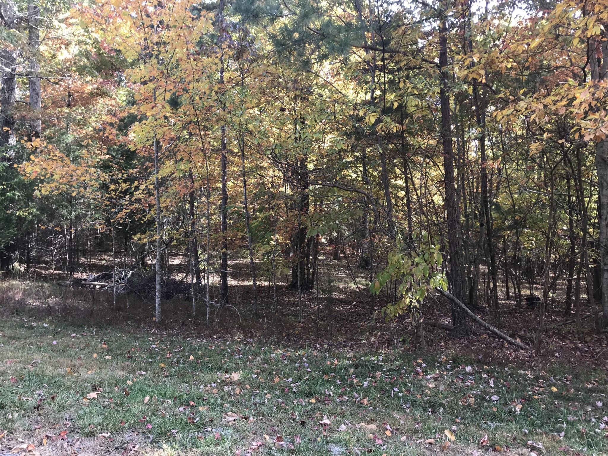 57 Deer Point Drive Property Photo 6