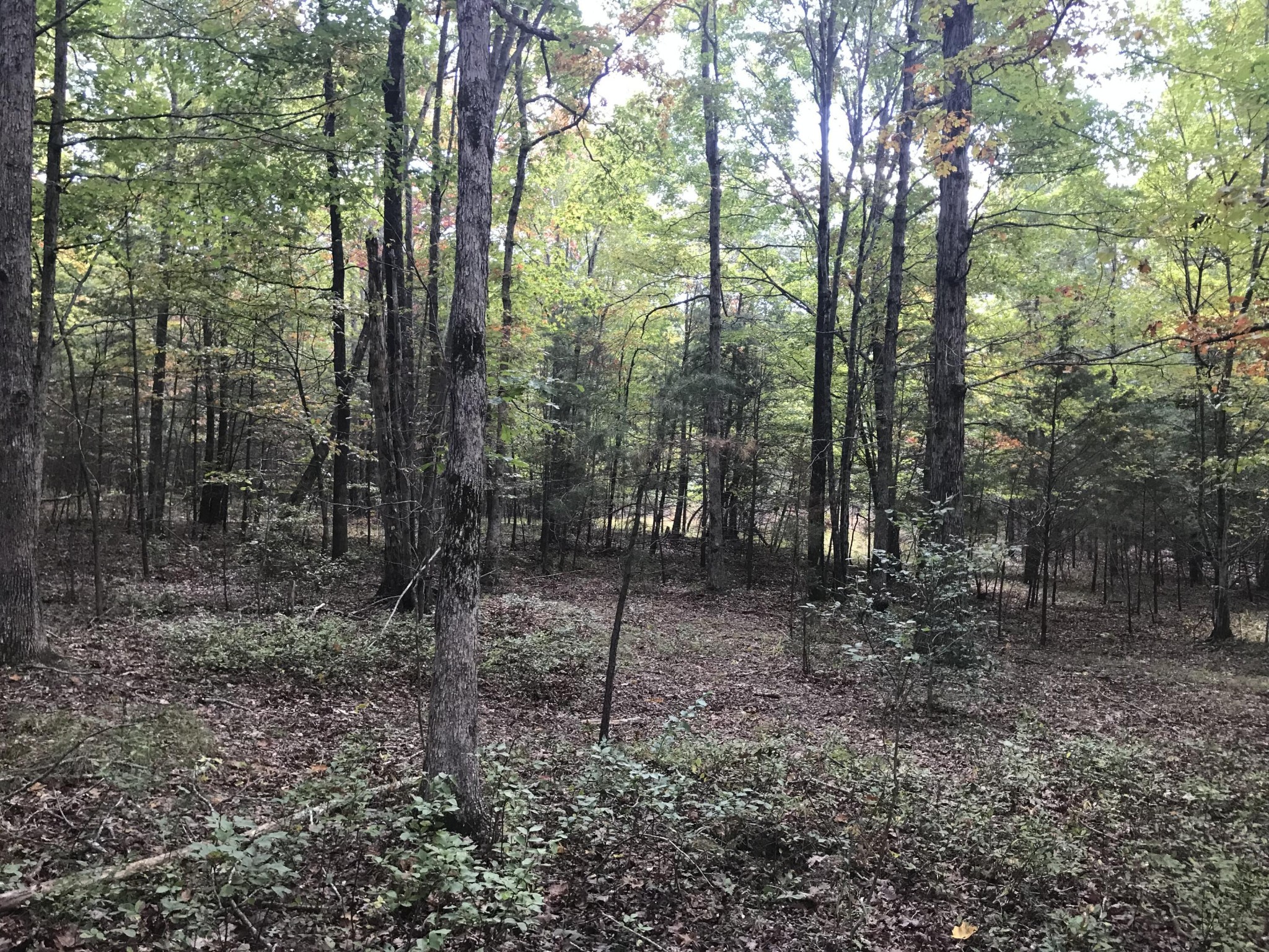 57 Deer Point Drive Property Photo 8