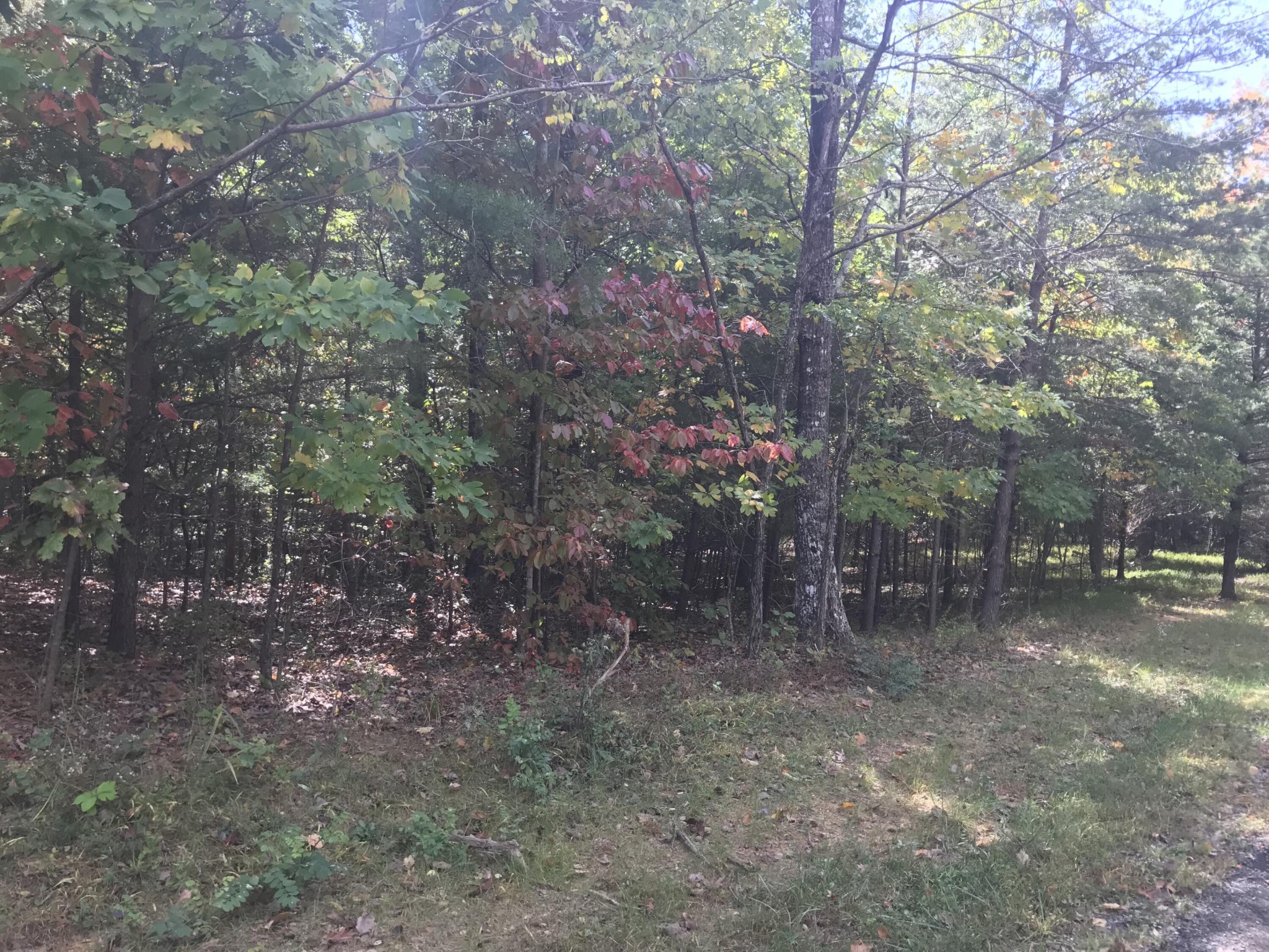 57 Deer Point Drive Property Photo 9