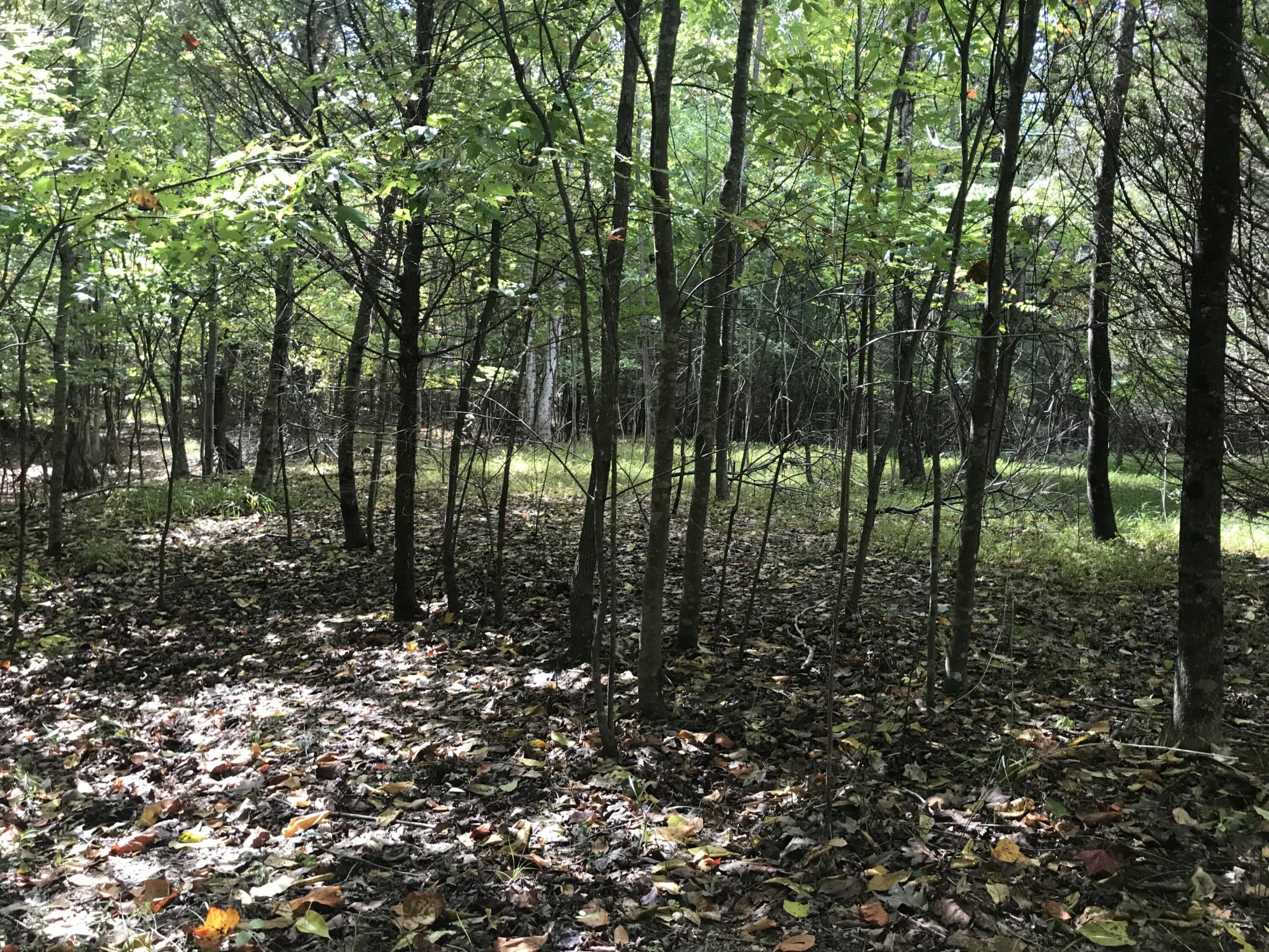 57 Deer Point Drive Property Photo 11